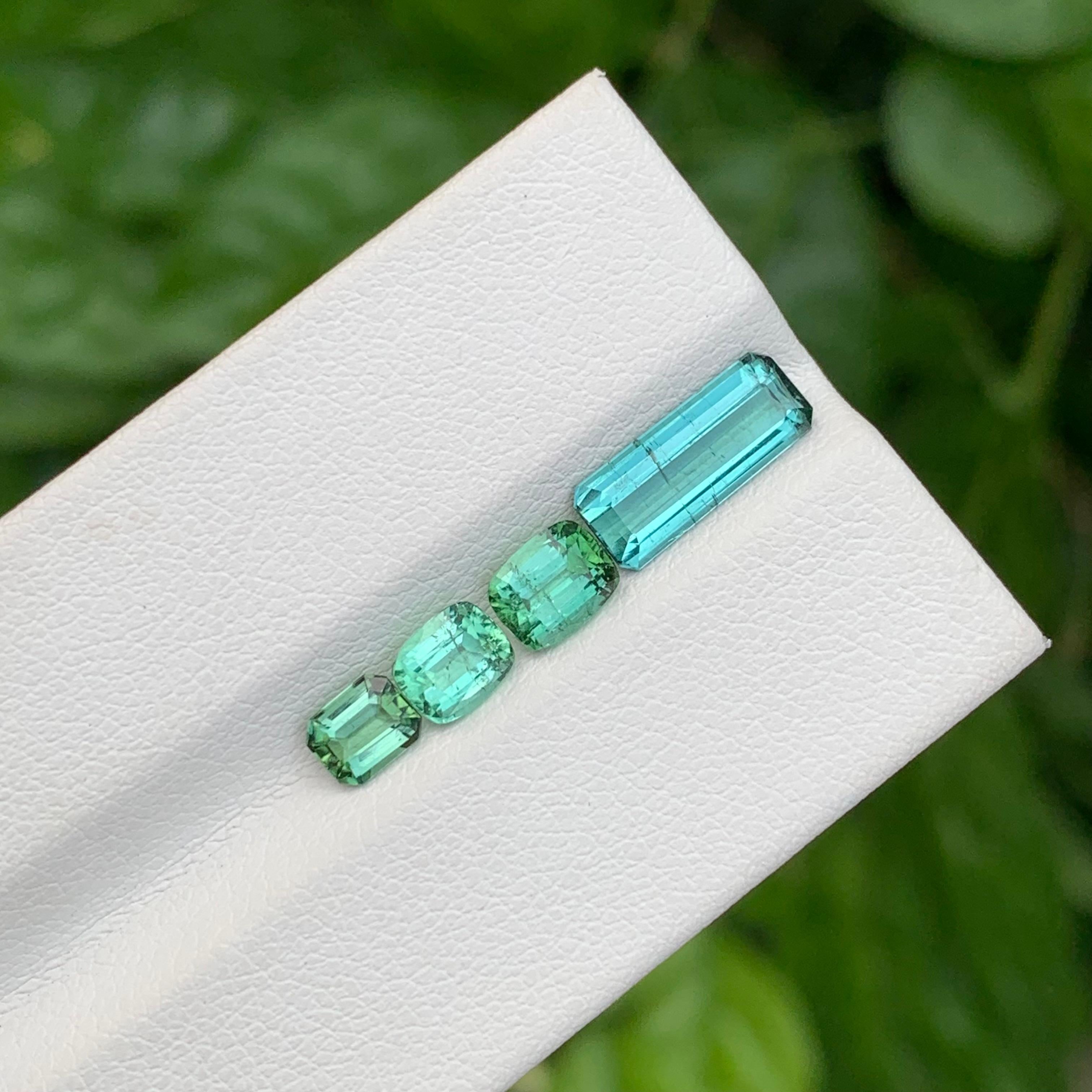 Set de tourmaline en vrac 

Poids : 3.50 Carats
Tailles : 0,45 à 1,65 carat 
Couleur : Vert menthe et écume de mer 
Origine : Afghanistan
Certificat : Sur demande
Traitement : Non
Forme : Coussin et émeraude 


La tourmaline est une pierre précieuse