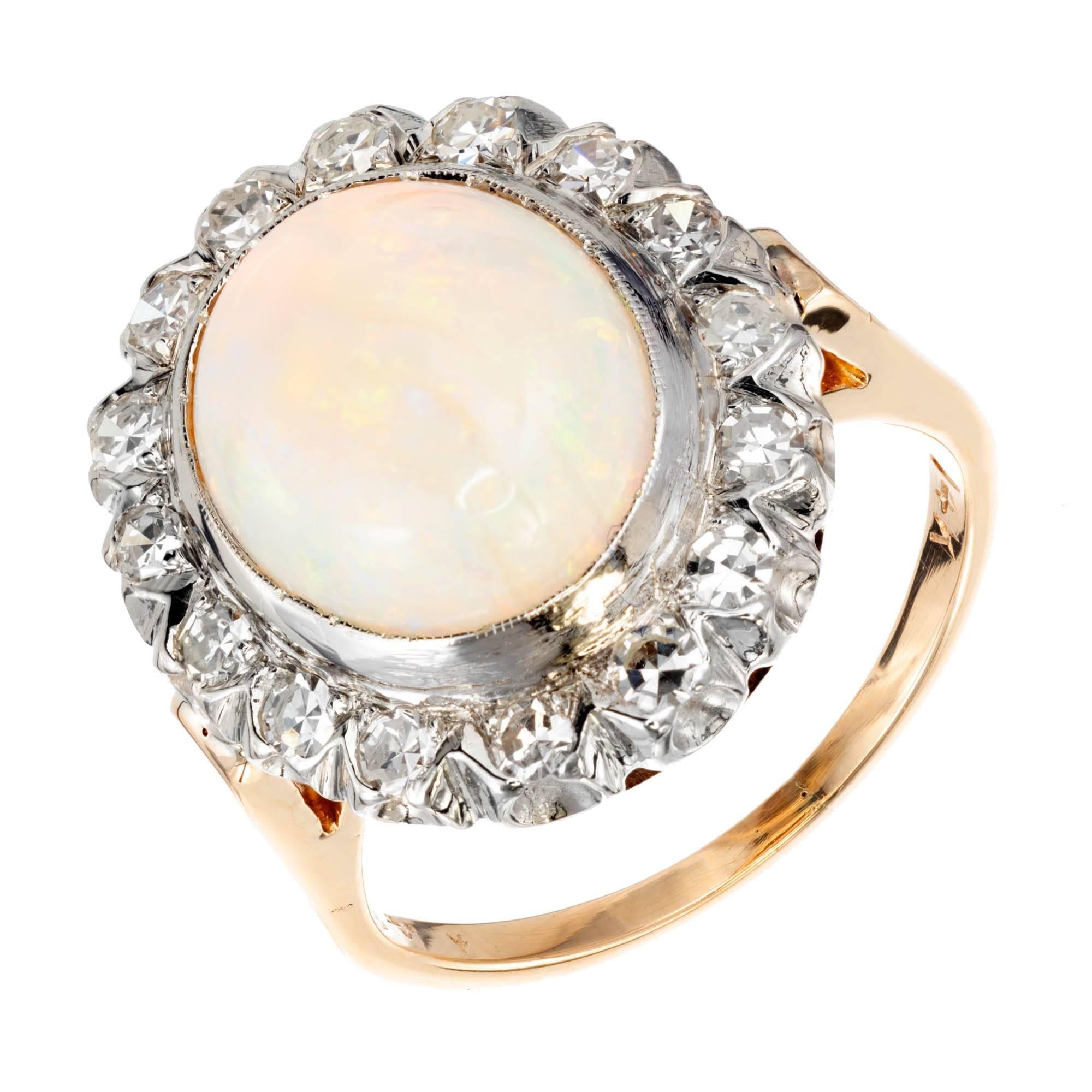 Well-polished blue green Opal and diamond cocktail ring. 14k Yellow gold setting with a white gold crown. Opal is surrounded by a halo of round diamonds. 

1 Oval fine blue green Opal, approx. total weight 3.50cts, VS, 13 x 10mm
16 round single cut