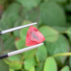 3.50 Cts Natural Trillion Cut Rubellite Tourmaline Loose Gemstone for Jewellery