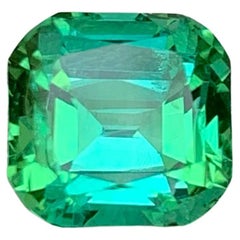 3.55 Carat Natural Loose Bluish Green Tourmaline Cushion Cut Afghan Gemstone (pierre précieuse afghane)