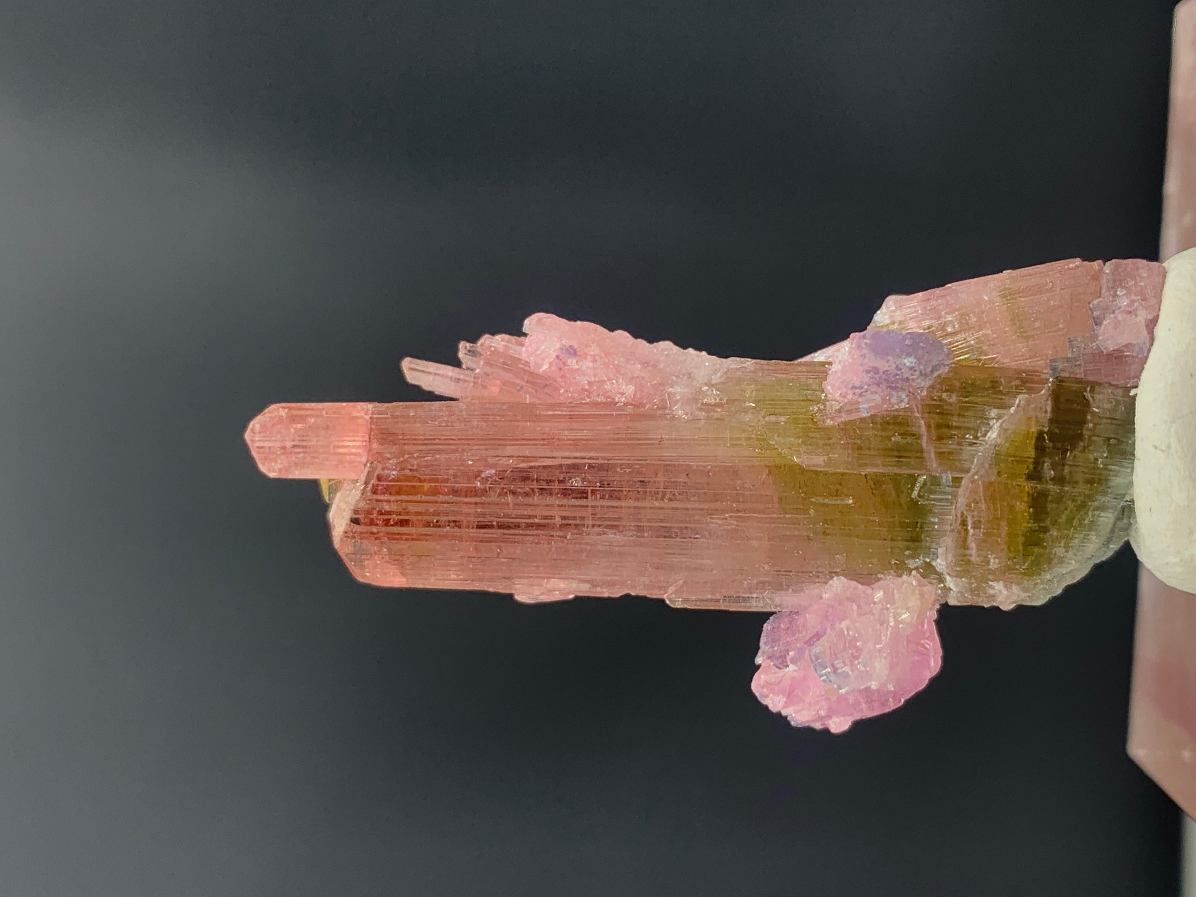 Incroyable cristal de tourmaline bicolore de 35,75 carats d'Afghanistan en vente 3