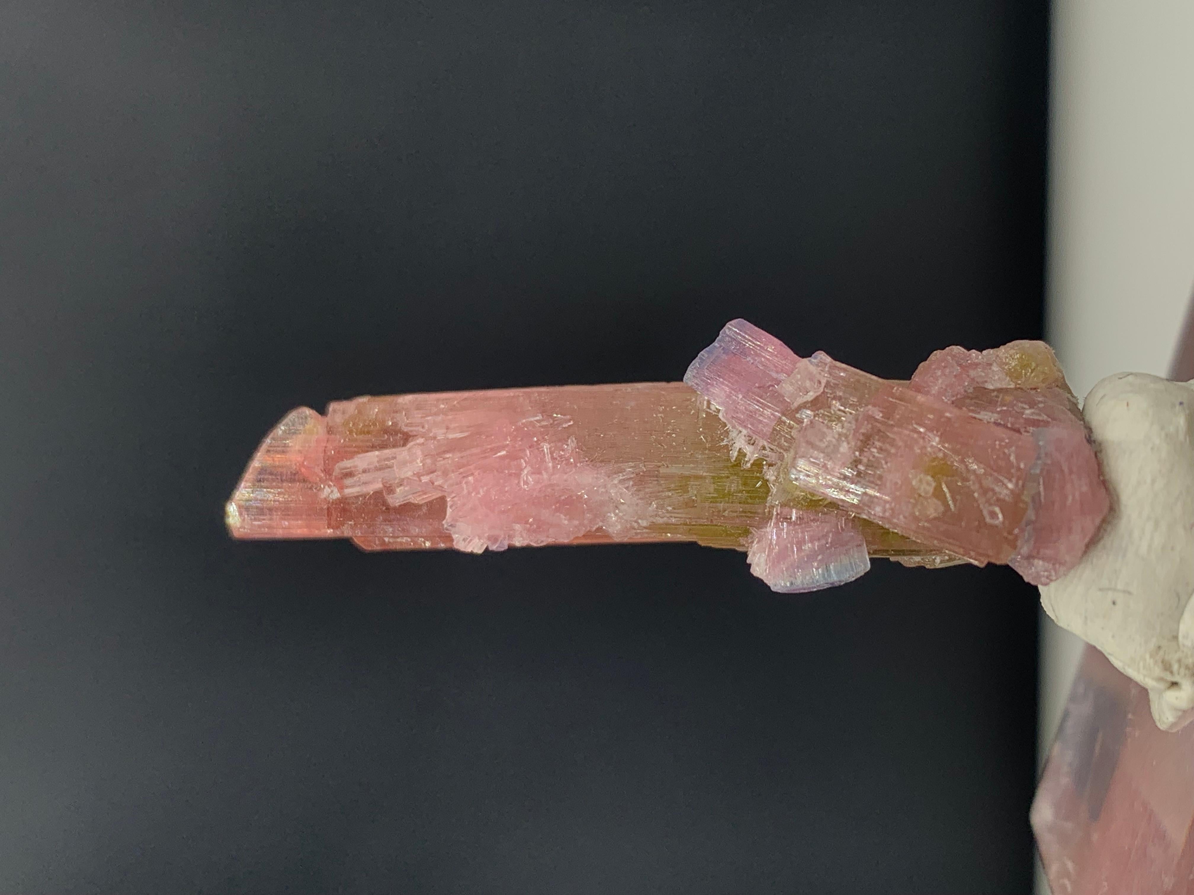 Incroyable cristal de tourmaline bicolore d'Afghanistan
Poids : 35,75 carats
DIMENSIONS : 3,9 x 1,9 x 1 cm
ORIGINE : Afghanistan
COULEUR : Rose et vert
TRAITEMENT : Aucun

La tourmaline est une pierre précieuse extrêmement populaire ; le nom