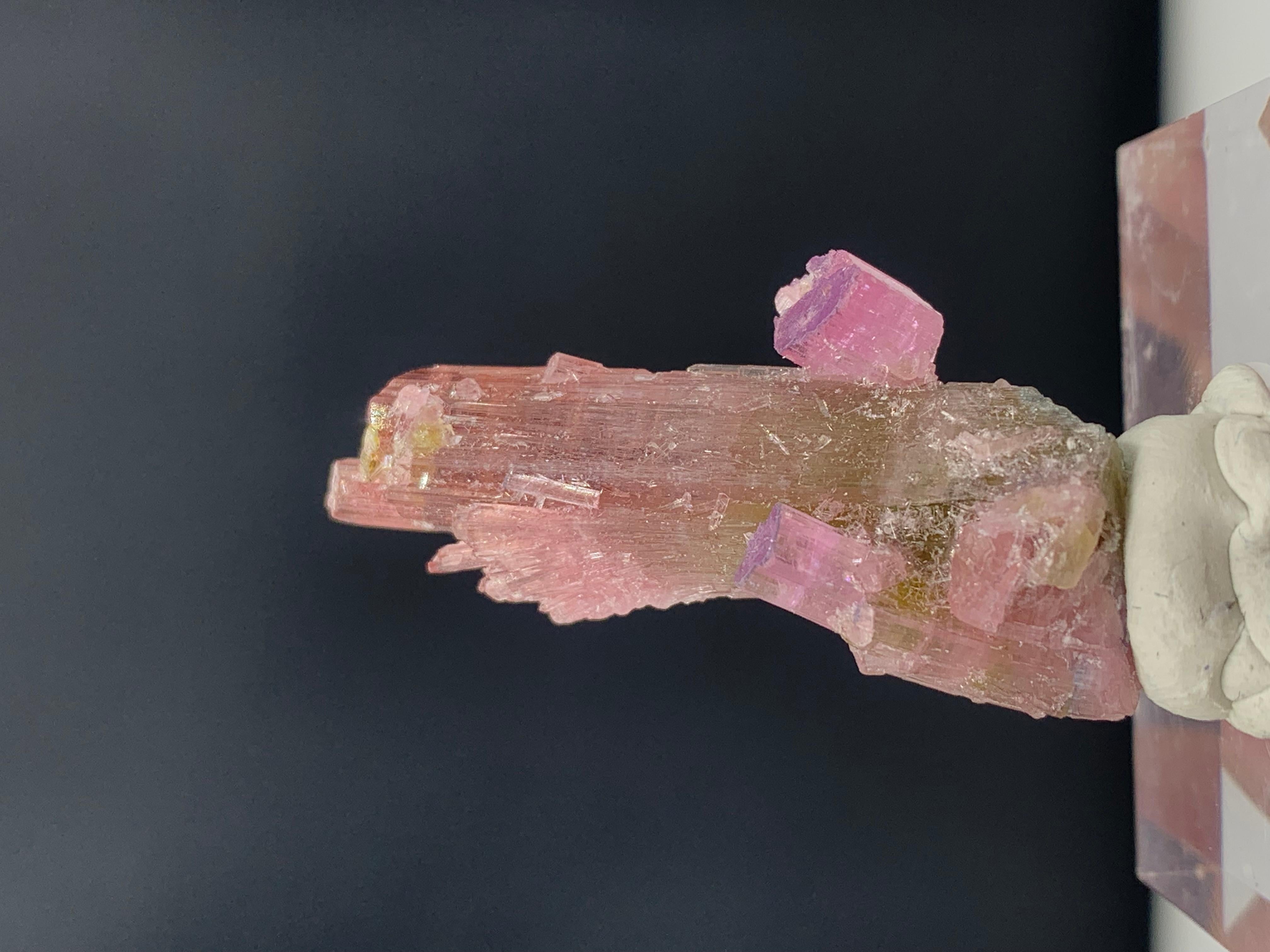 Adam Style 35.75 Carat Incredible Bi Color Tourmaline Crystal from Afghanistan For Sale