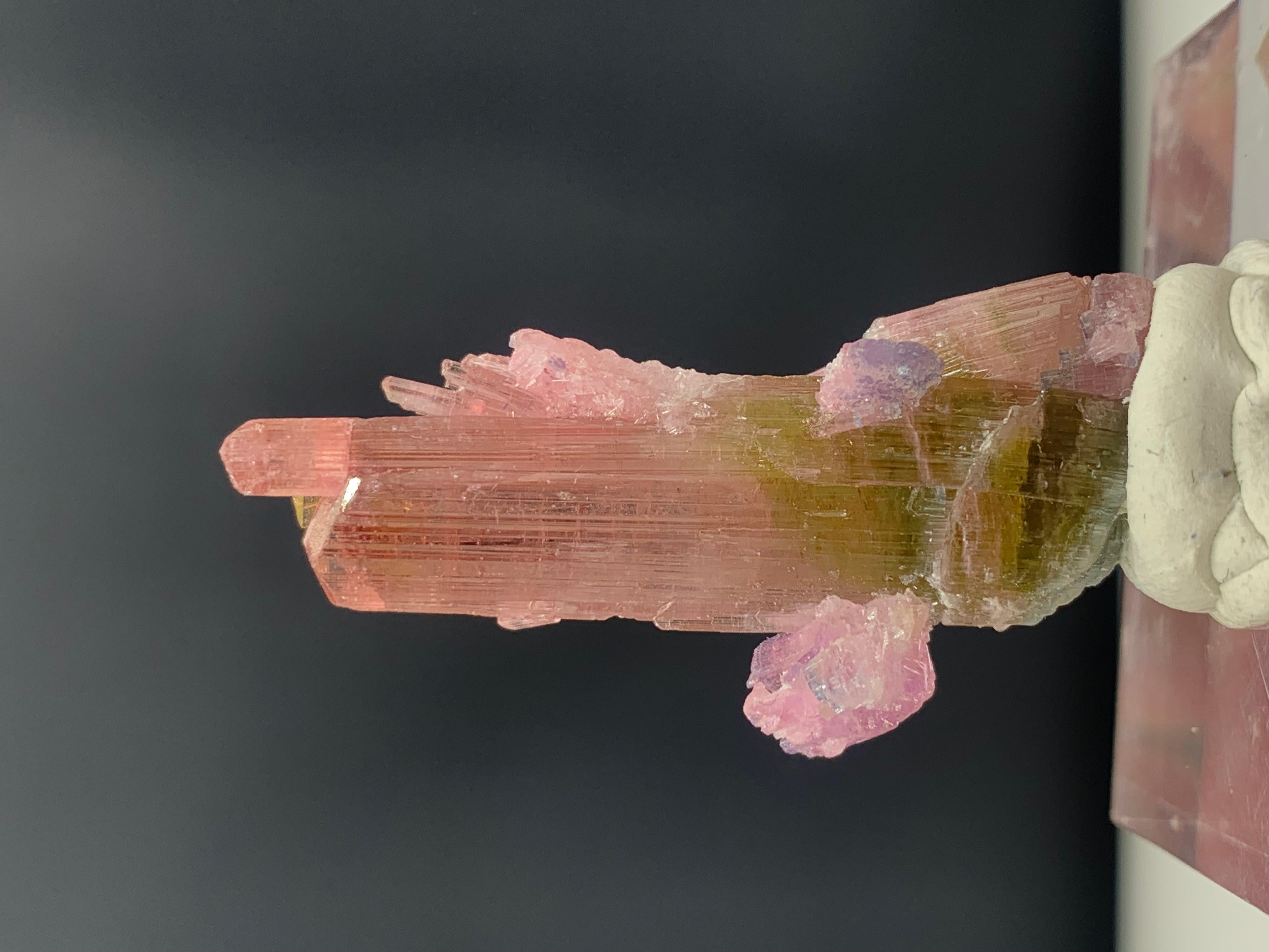 Other 35.75 Carat Incredible Bi Color Tourmaline Crystal from Afghanistan For Sale