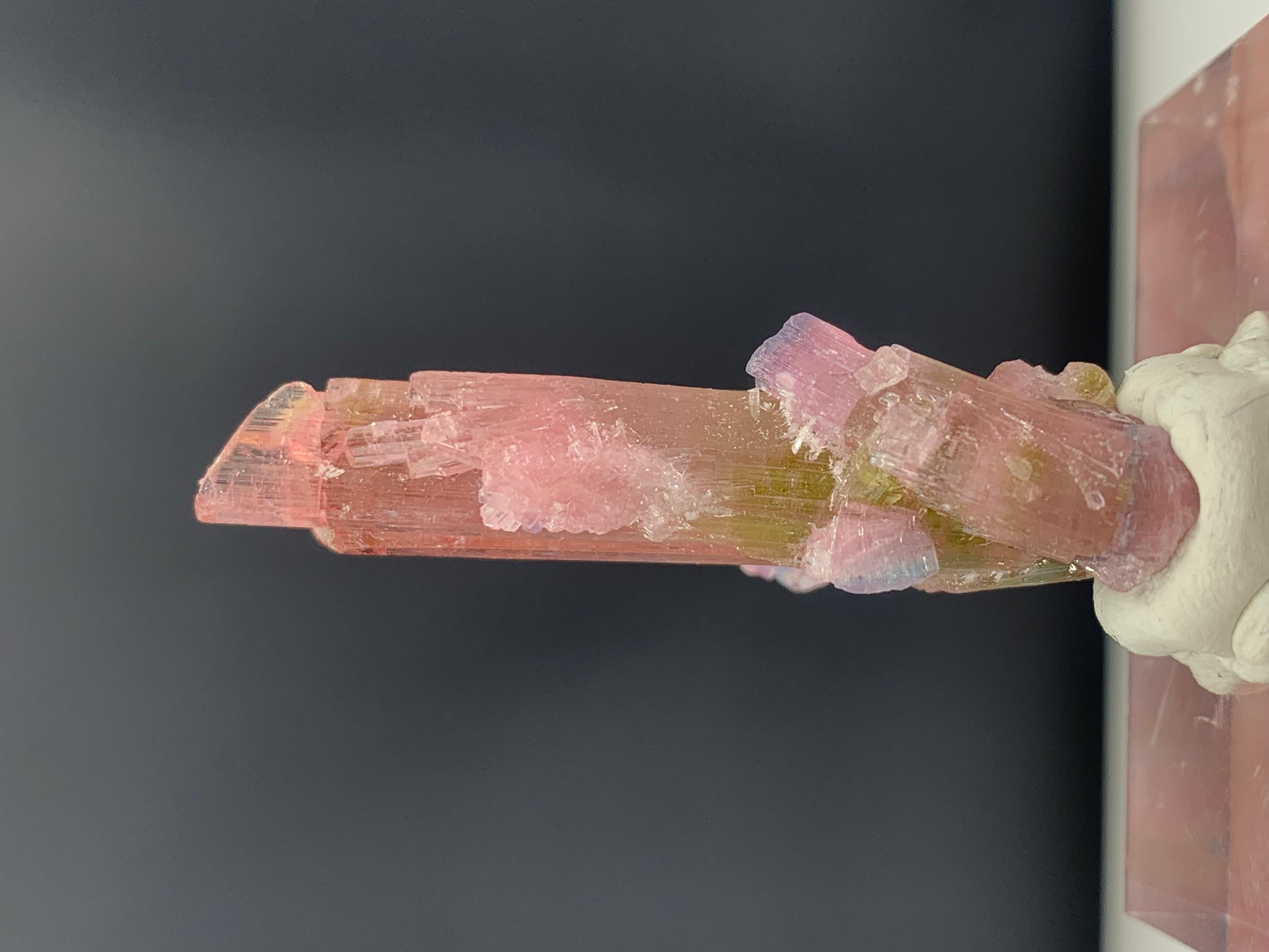 35.75 Carat Incredible Bi Color Tourmaline Crystal from Afghanistan In Good Condition For Sale In Peshawar, PK