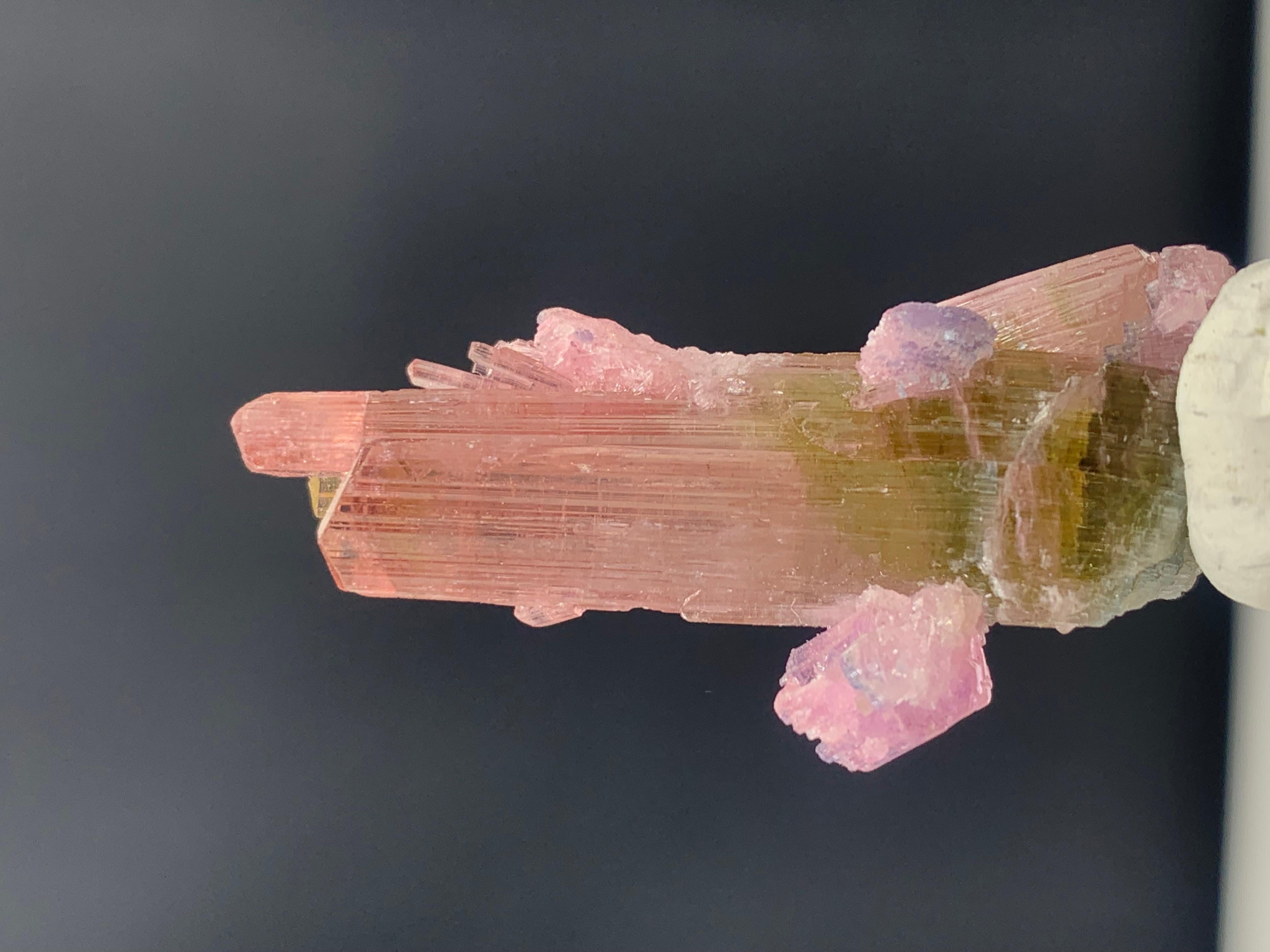 18th Century and Earlier 35.75 Carat Incredible Bi Color Tourmaline Crystal from Afghanistan For Sale