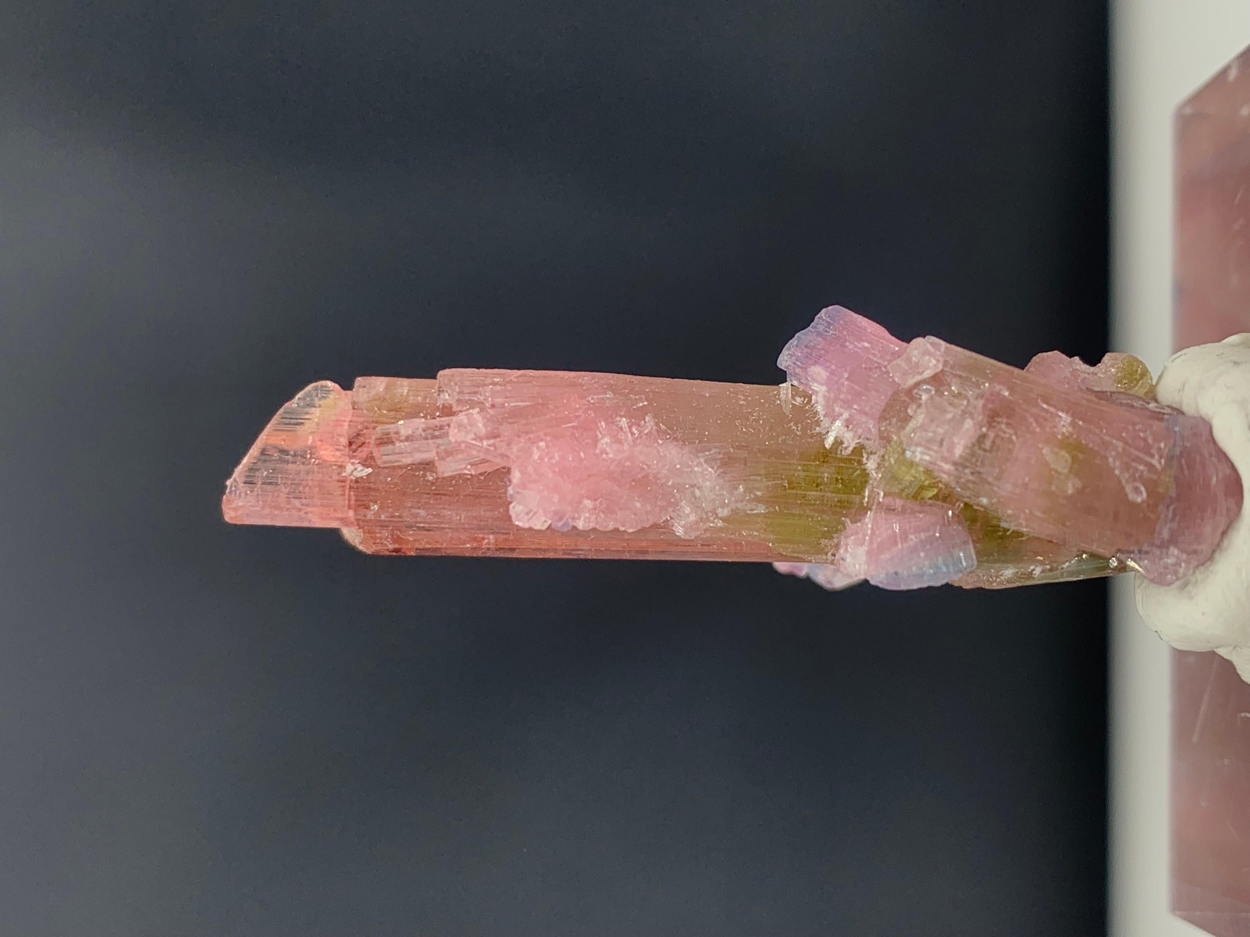 35.75 Carat Incredible Bi Color Tourmaline Crystal from Afghanistan For Sale 1
