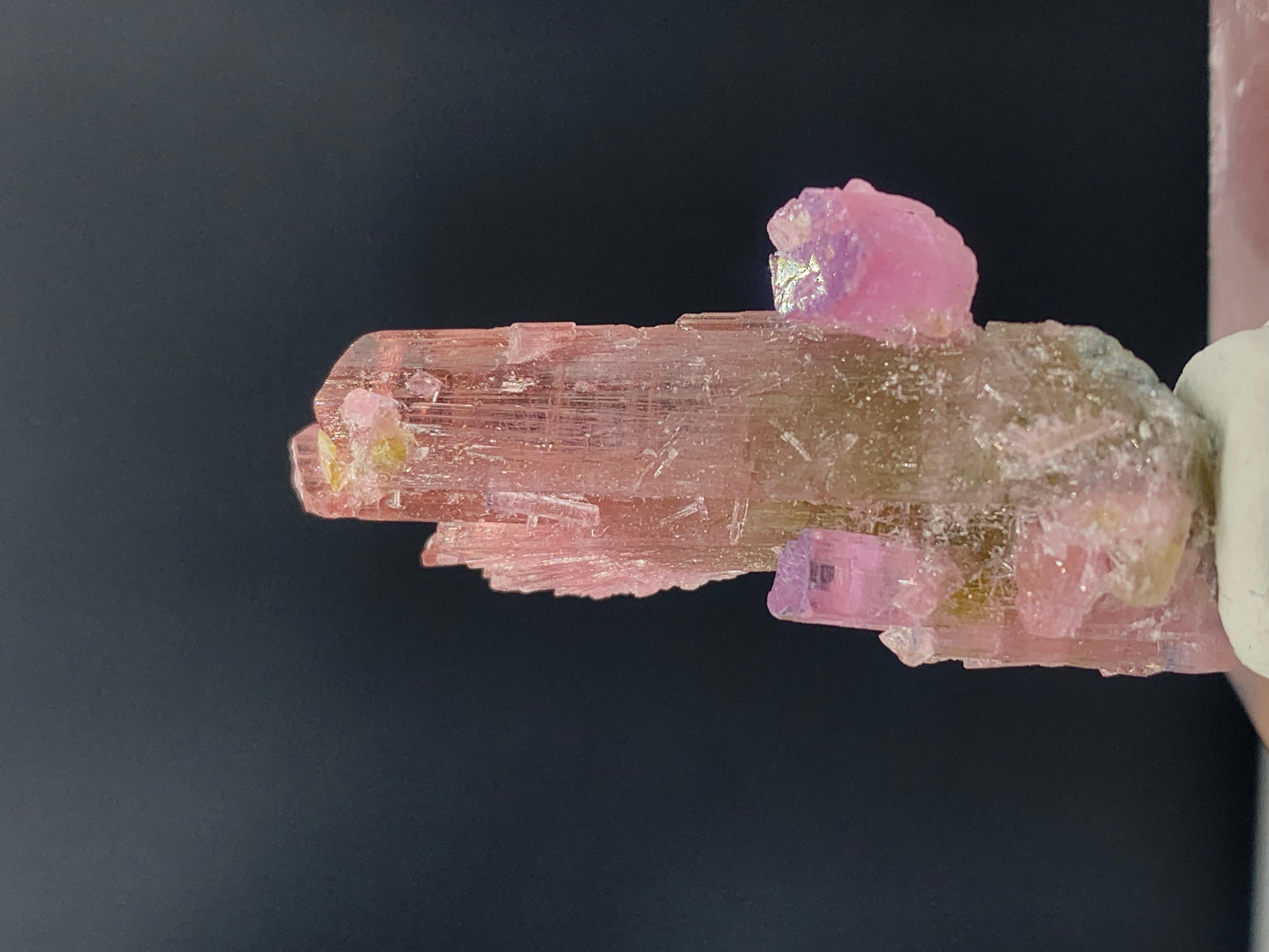 Incroyable cristal de tourmaline bicolore de 35,75 carats d'Afghanistan en vente 2
