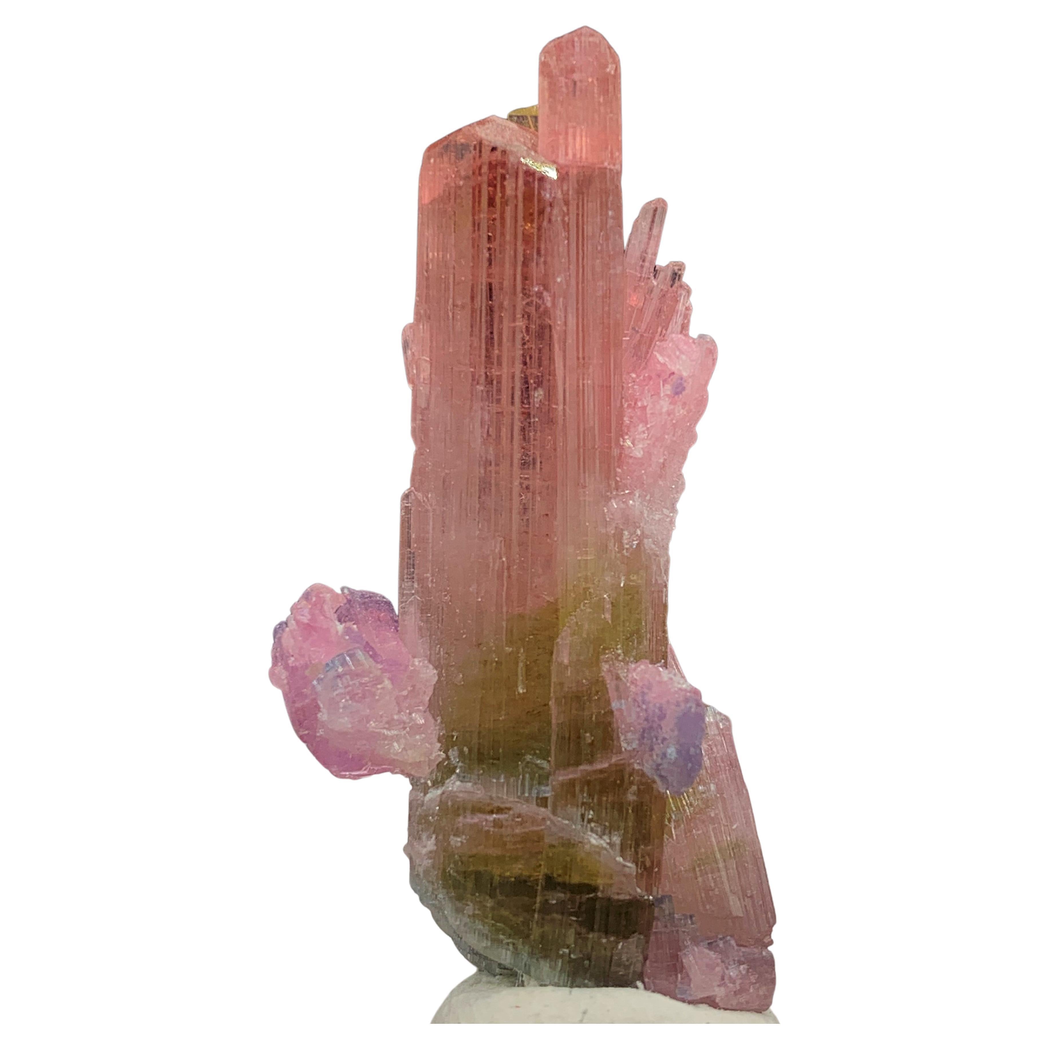 Incroyable cristal de tourmaline bicolore de 35,75 carats d'Afghanistan en vente