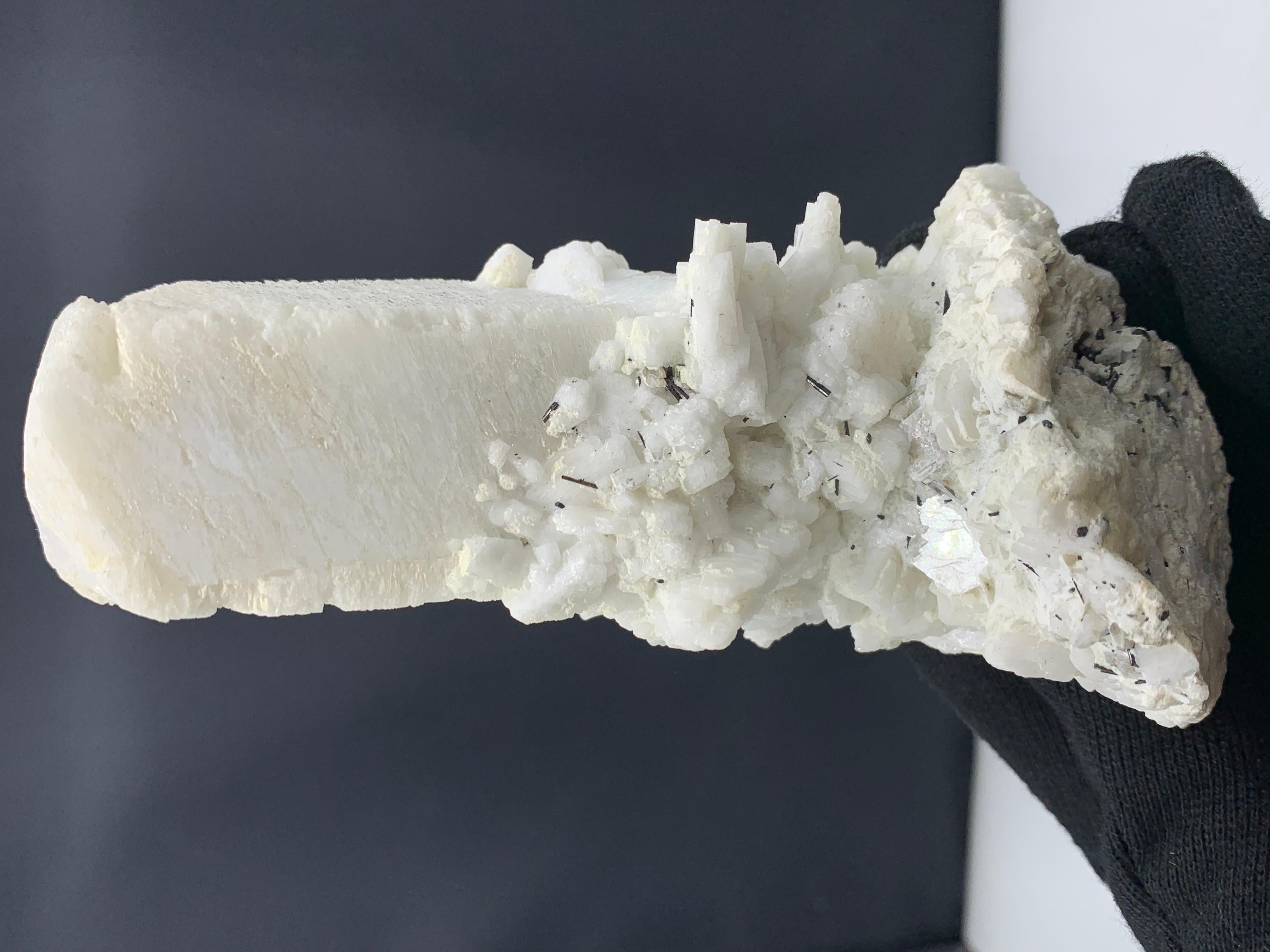 Weight: 359.98 Gram
Dimension: 13.6 x 7.1 x 7.3 Cm
Origin: Skardu Valley, Pakistan

Feldspar is the name given to a group of minerals distinguished by the presence of alumina and silica (SiO2) in their chemistry. This group includes aluminum