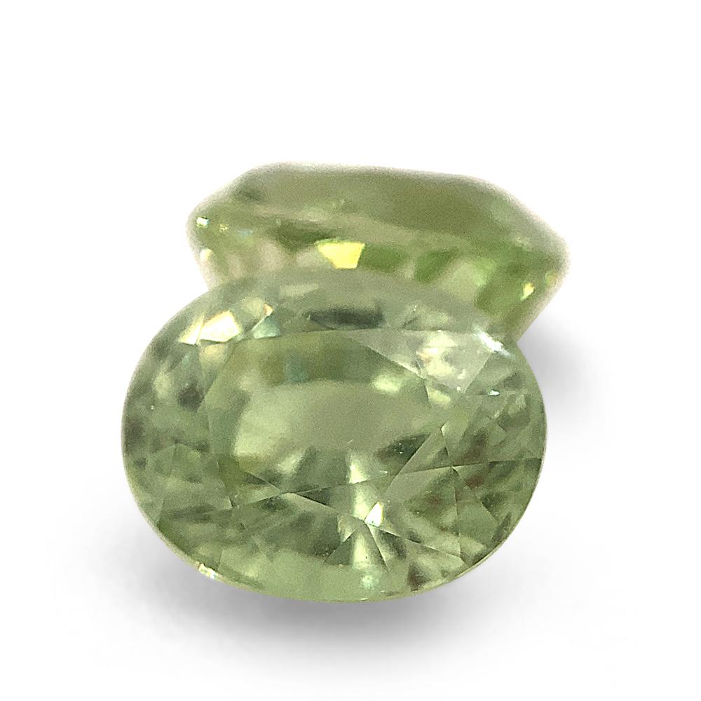 3.63ct Pair Oval Mint Pastel Green Garnet from Merelani, Tanzania For Sale 5
