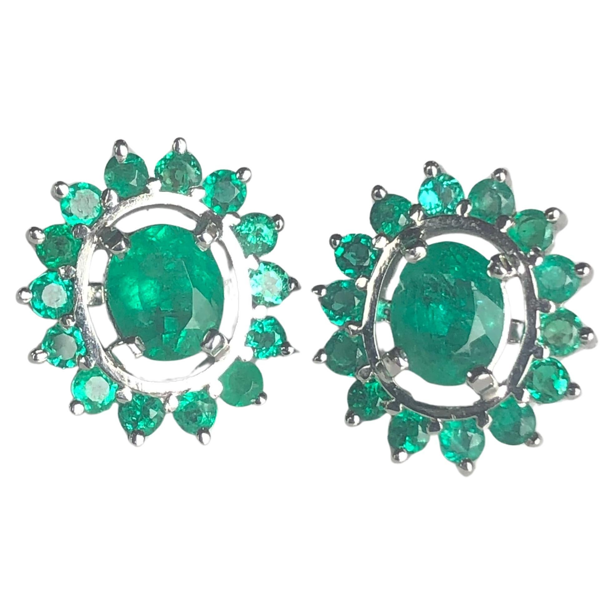 3.56 Carat Colombian Emerald Oval 18 Karat White Gold Earrings For Sale 4