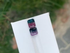 Pierre précieuse : tourmalines bicolores naturelles en vrac de 3,65 carats
