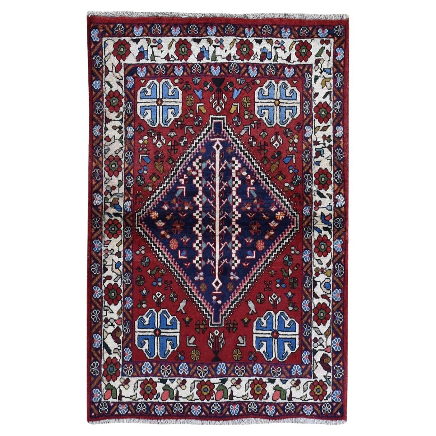 3
6 "x4
9" New Persian Shiraz Médaillon dentelé, oiseaux, laine Tapis noué à la main en vente