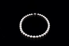 37 Graduated South Sea Cultured Pearl Necklace with 14K Gold Diamond Chain