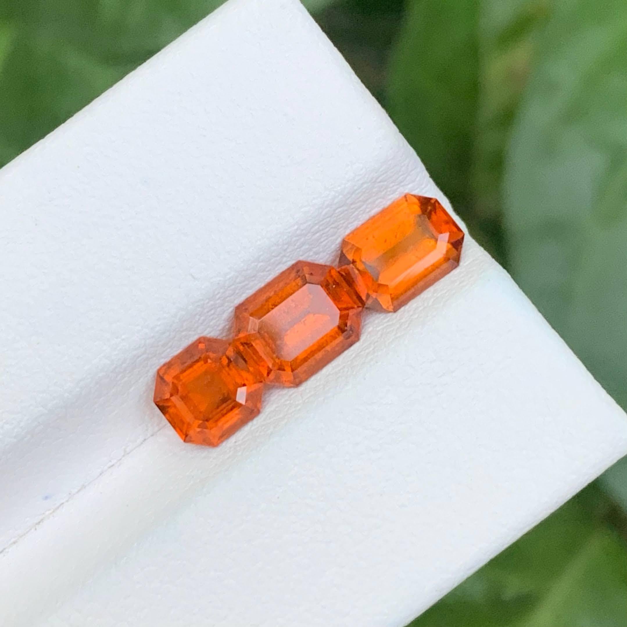 Peso 3,70 carati 
Pezzo 3
Trattamento Nessuno 
Origine Africa 
Chiarezza SI
Taglio forma Taglio misto 





Questo lotto di 3,70 carati di granato d'Assonite naturale sfuso presenta 3 gemme splendidamente abbinate in una varietà di eleganti tagli