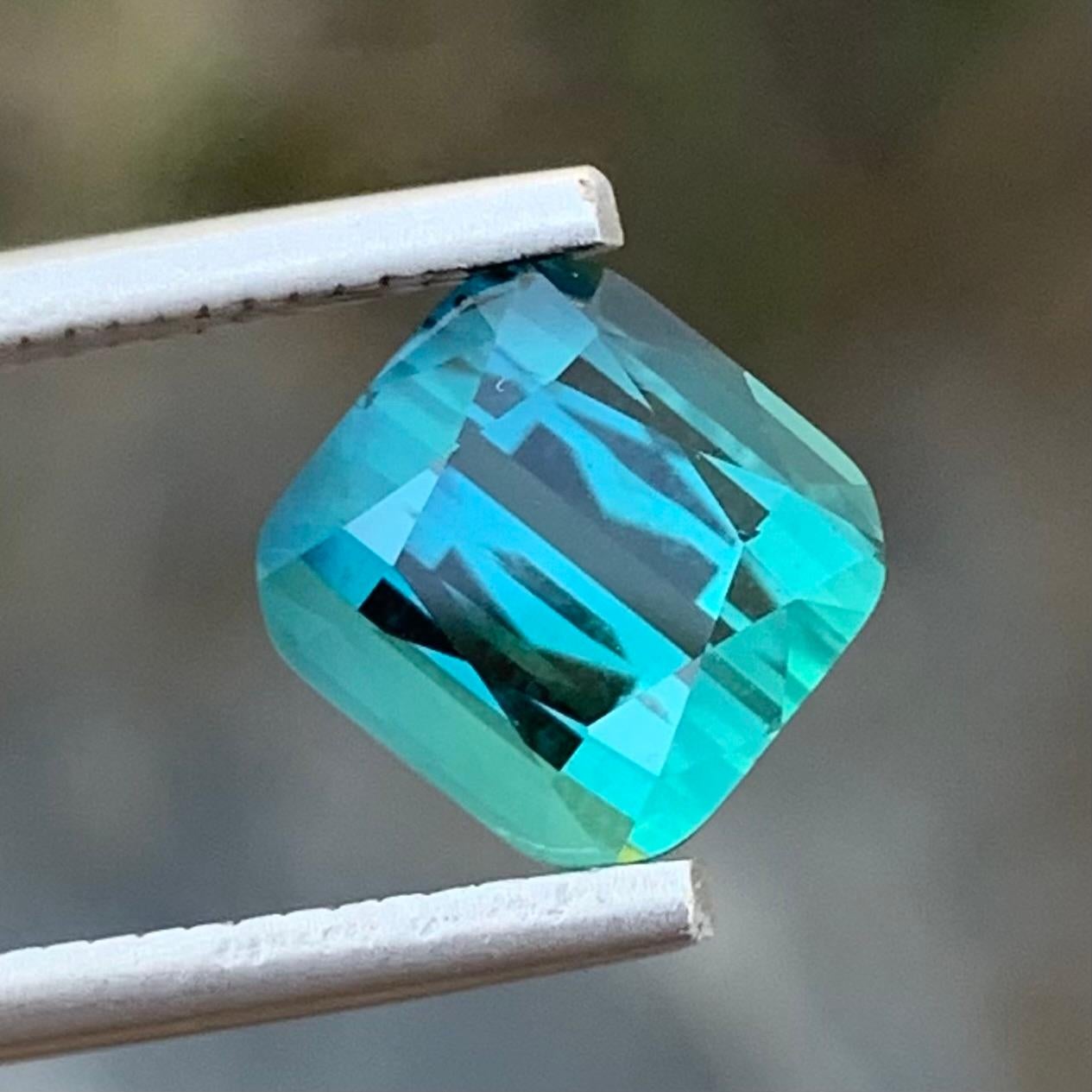Loose Bi Colour Tourmaline

Weight: 3.70 Carats
Dimension: 8.3 x 8 x 6.5 Mm
Colour: Aqua Blue And Mint Green
Origin: Afghanistan
Certificate: On Demand
Treatment: Non

Tourmaline is a captivating gemstone known for its remarkable variety of colors,