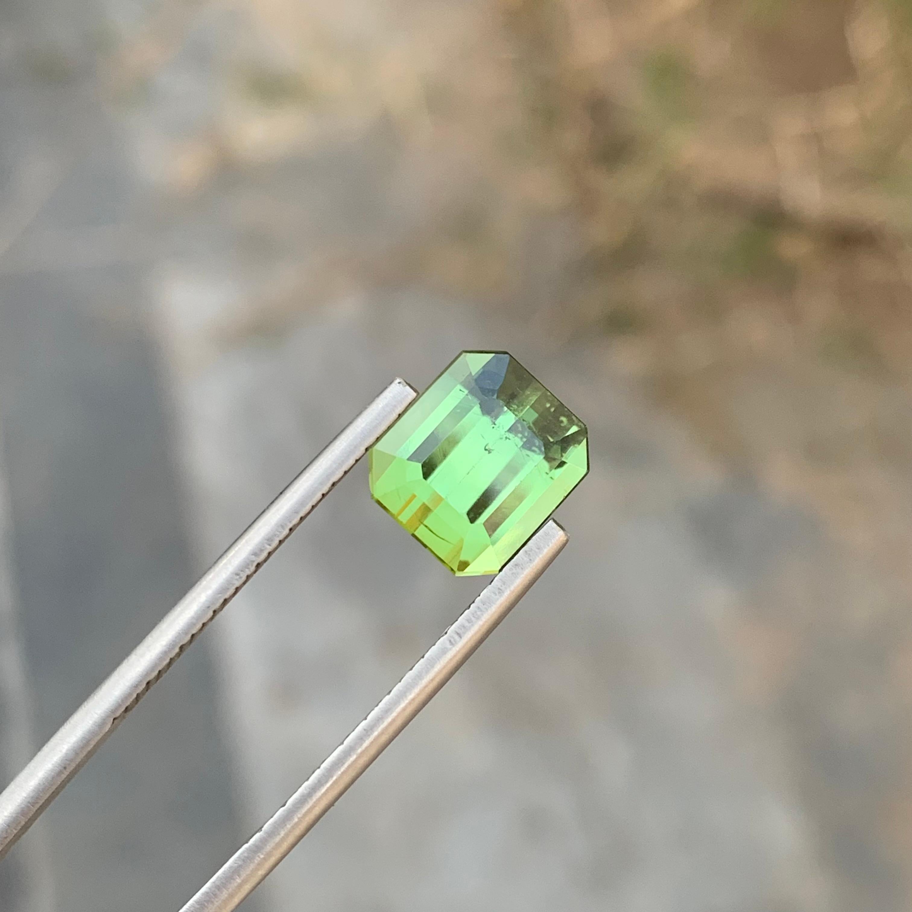 3.70 Carat Natural Loose Mint Green Tourmaline Emerald Gem For Jewellery Making  For Sale 6