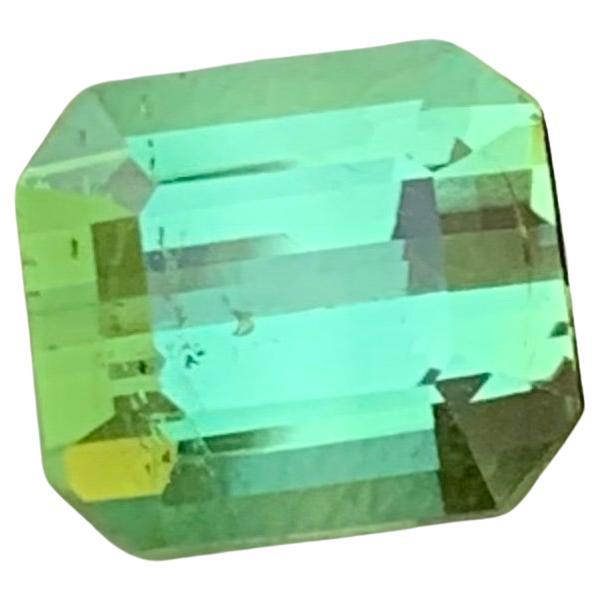 3.70 Carat Natural Loose Mint Green Tourmaline Emerald Gem For Jewellery Making  For Sale