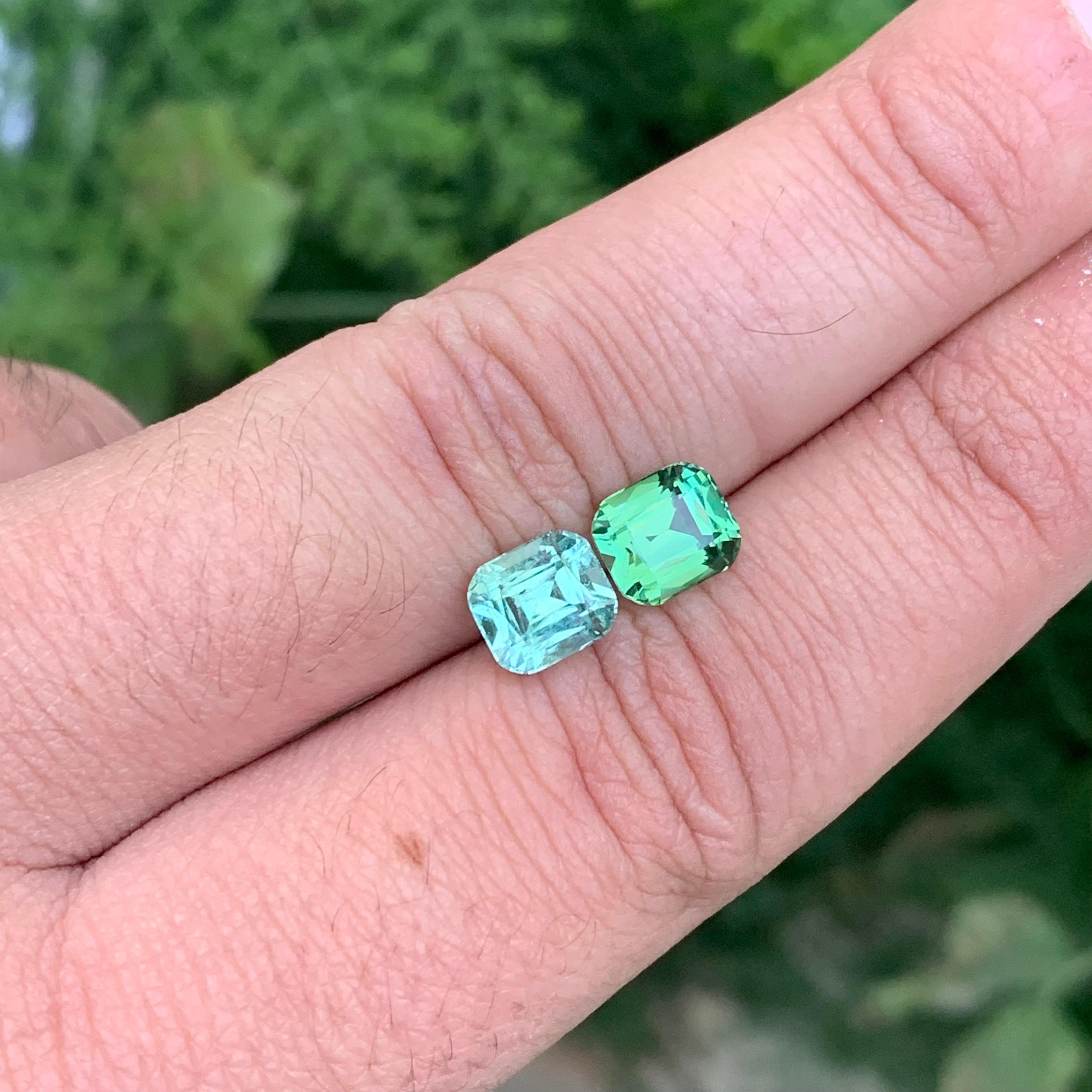 3.70 Carat Natural Loose Reverse Pair Tourmaline Cushion Shape Gemstone (pierre précieuse en forme de coussin) en vente 4