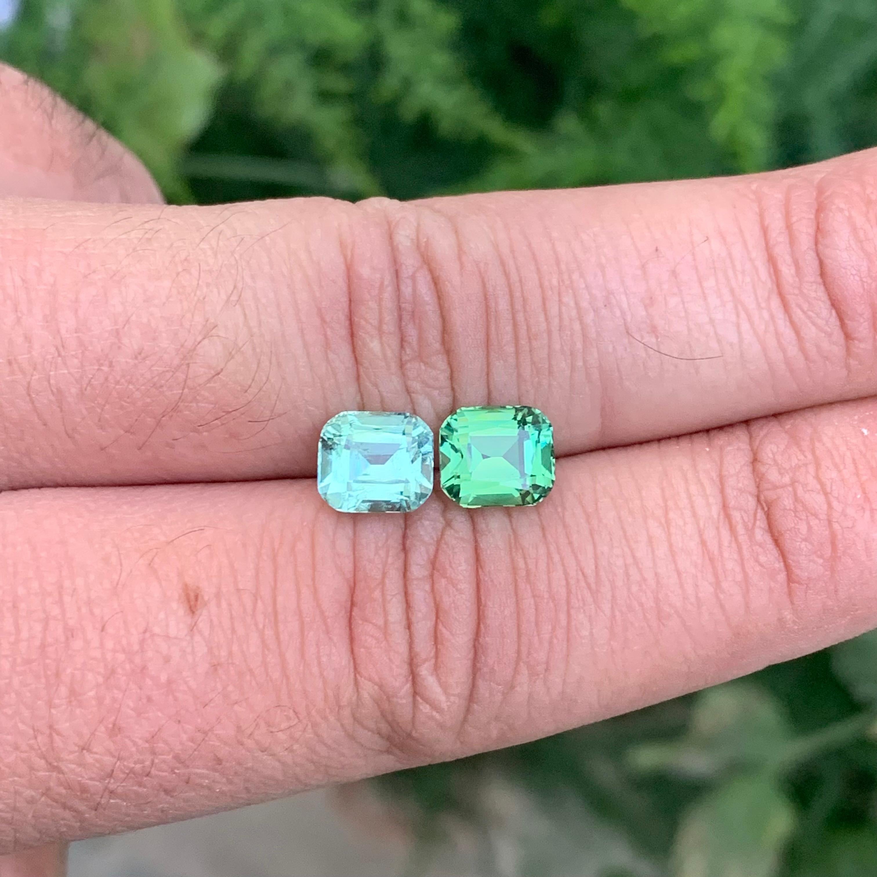 3.70 Carat Natural Loose Reverse Pair Tourmaline Cushion Shape Gemstone (pierre précieuse en forme de coussin) en vente 5