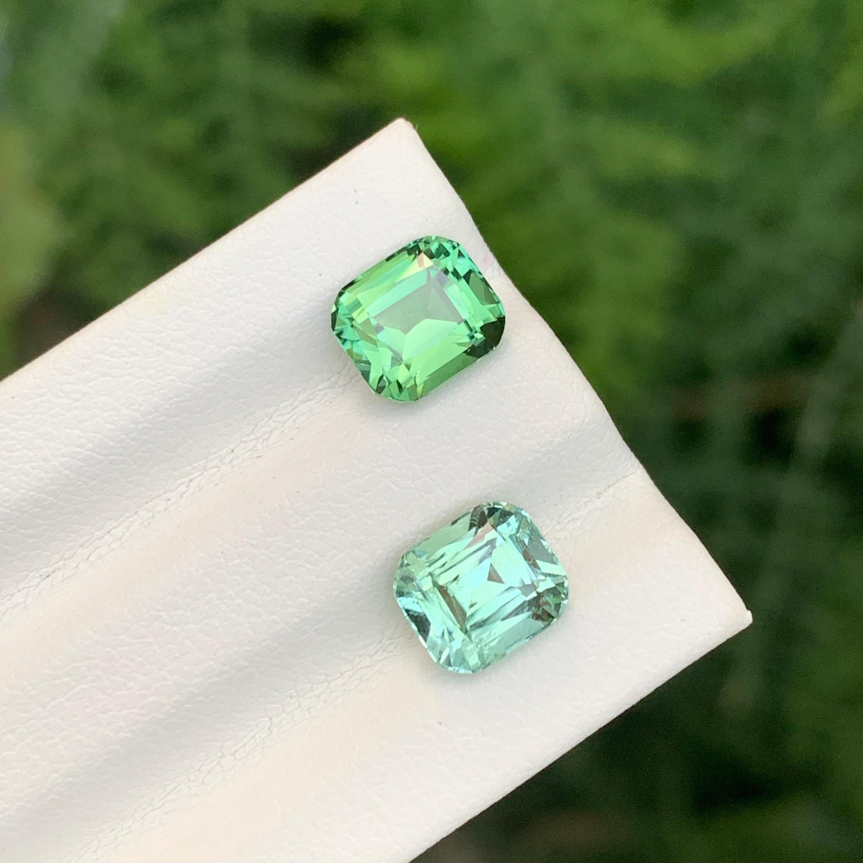 Paire de tourmalines inversées facettées 

Poids : 3,70 carats
Dimension : 7,4 x 6,5 x 5,2 mm
                    7,4 x 6,5 x 5,1 Mm 
Couleur : Vert et mousse de mer 
Tailles : 1,95 à 1,90 carat 
Traitement : Non
Certificat : Sur demande du