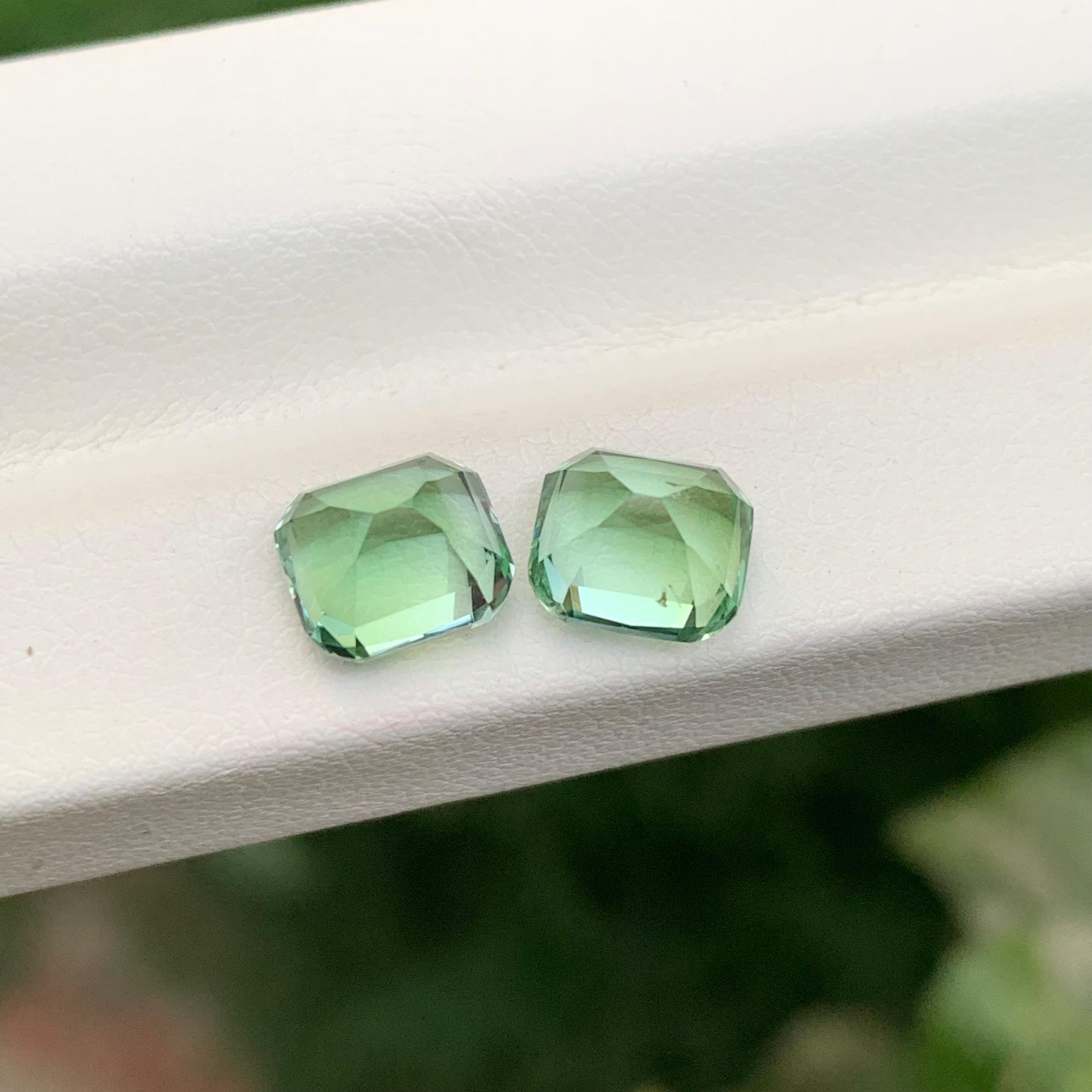 3.70 Carat Natural Loose Reverse Pair Tourmaline Cushion Shape Gemstone (pierre précieuse en forme de coussin) Unisexe en vente