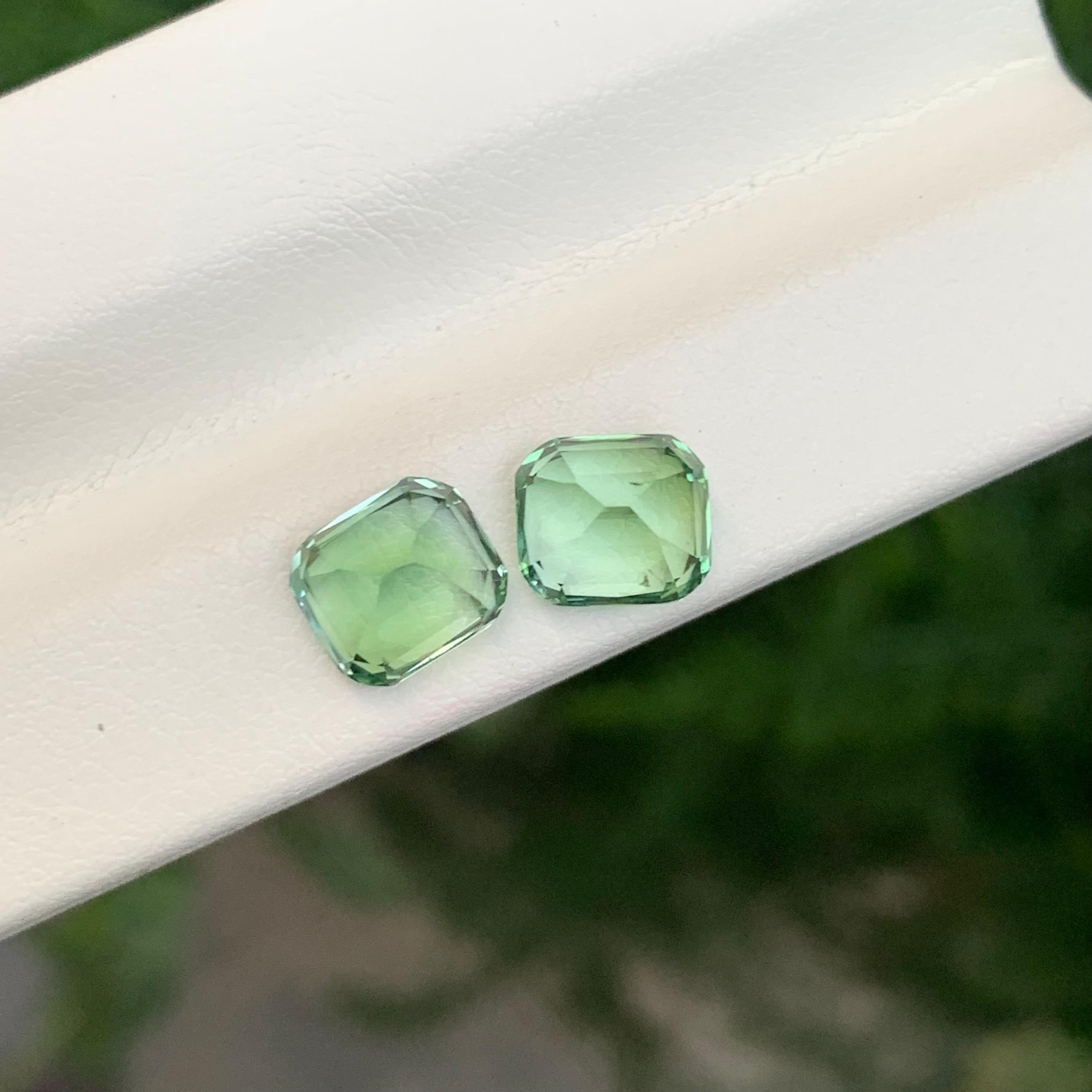 3.70 Carat Natural Loose Reverse Pair Tourmaline Cushion Shape Gemstone (pierre précieuse en forme de coussin) en vente 1