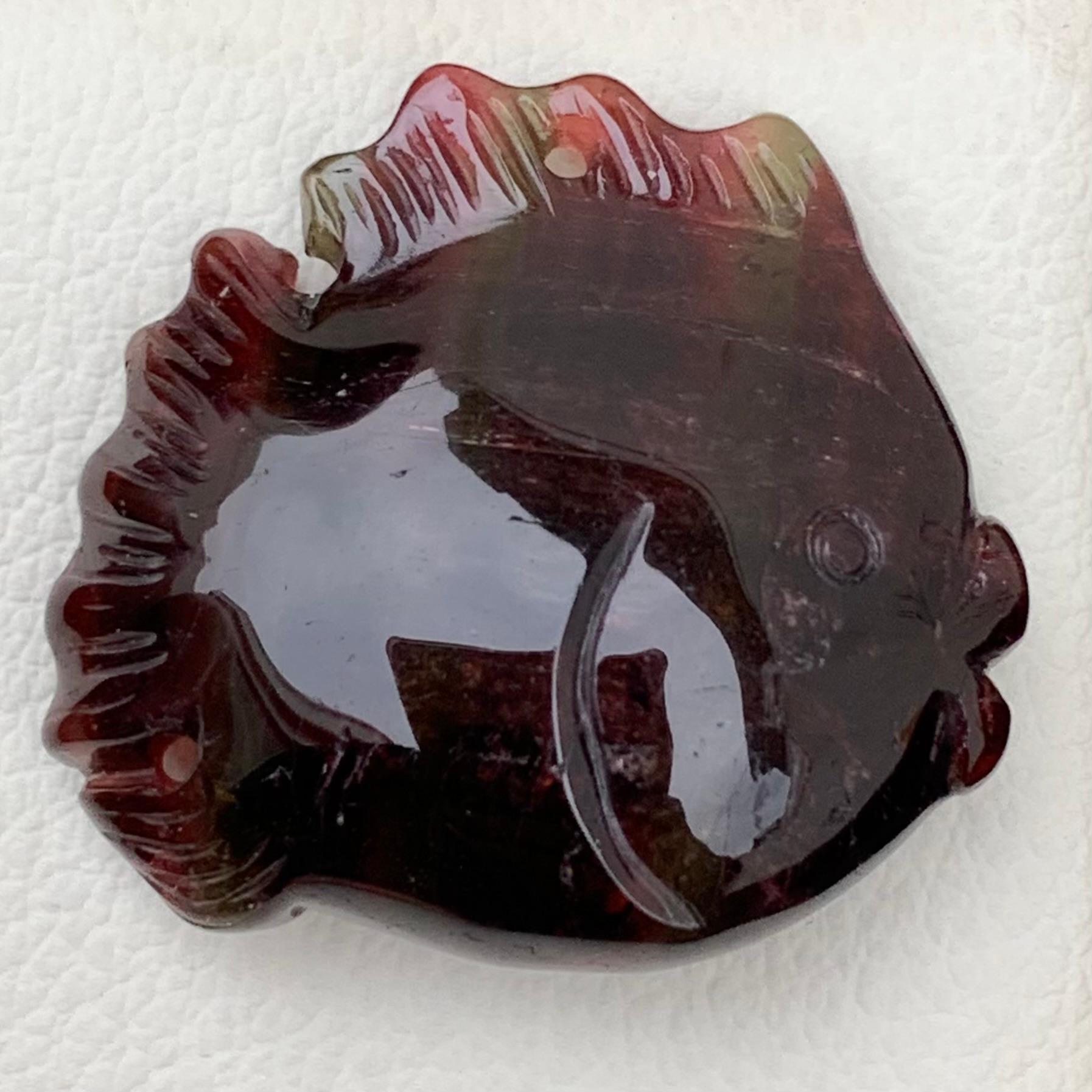 Carving Tourmaline
Weight: 37.10 Carats
Dimension: 23 x 25 x 9 Mm
Origin: Africa
Shape: Carving
Shape:  Fish 

Tourmaline carving is a specialized and intricate art form that involves sculpting or shaping tourmaline gemstones to create exquisite and