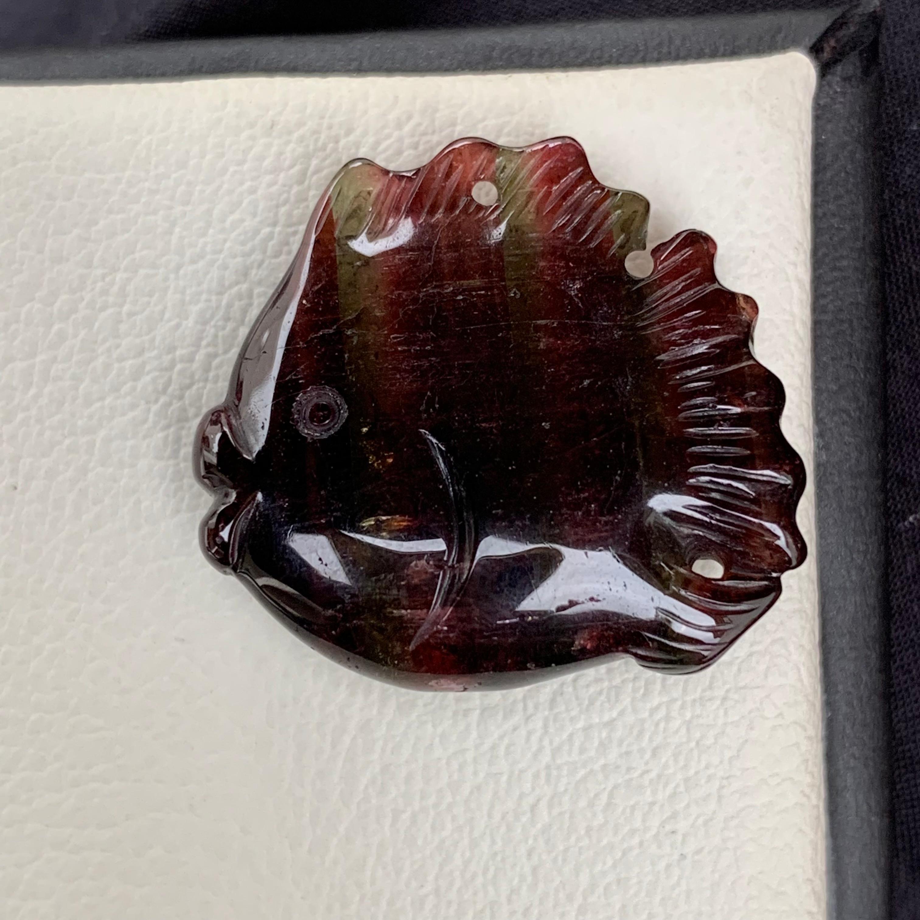 Arts and Crafts 37.10 Carat Amazing Fish Shape Tri Colour Tourmaline Drilled Carving From Africa For Sale