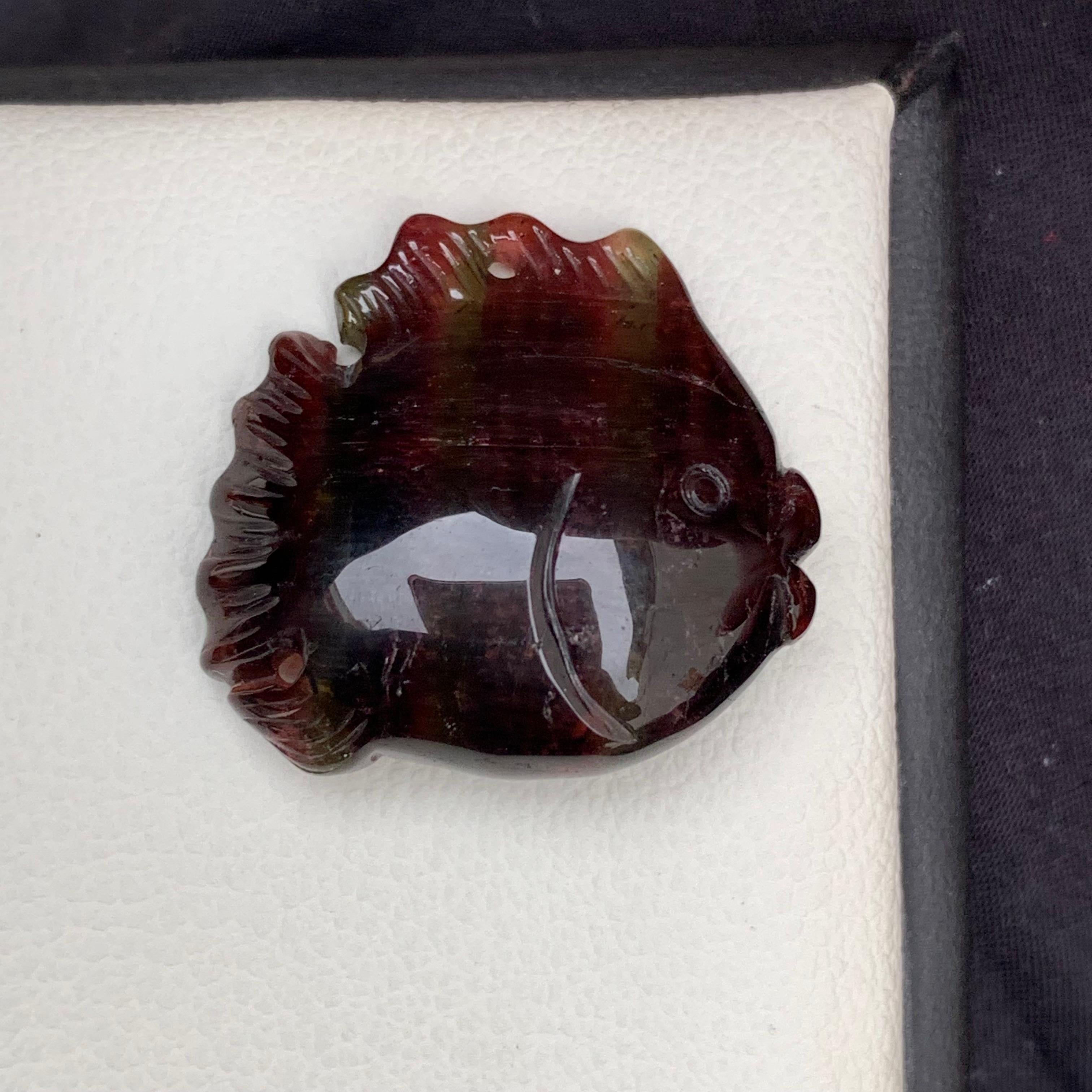 Taille mixte Incroyable sculpture en forme de poisson, tourmaline tricolore teintée de 37,10 carats d'Afrique en vente