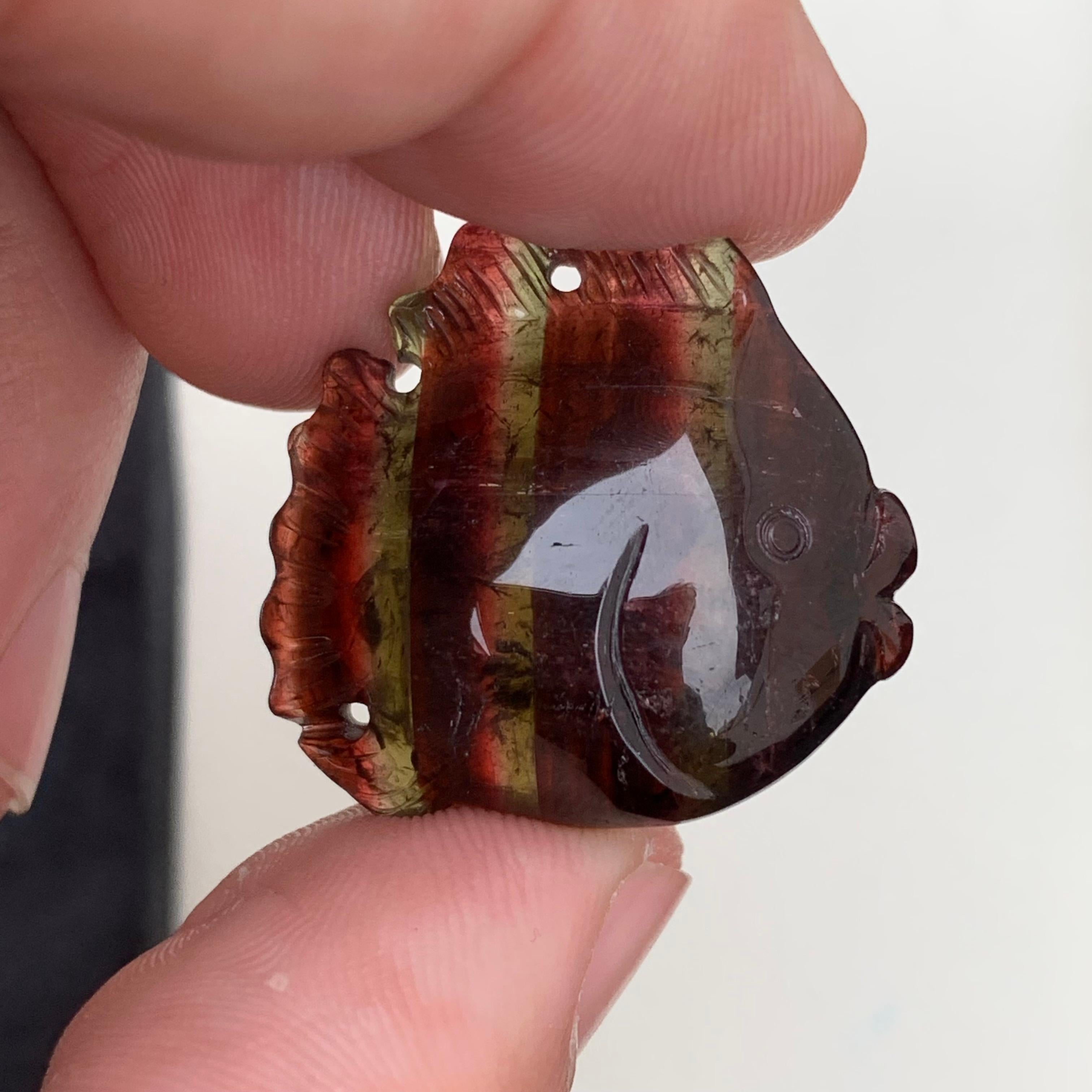 37.10 Carat Amazing Fish Shape Tri Colour Tourmaline Drilled Carving From Africa In New Condition For Sale In Peshawar, PK