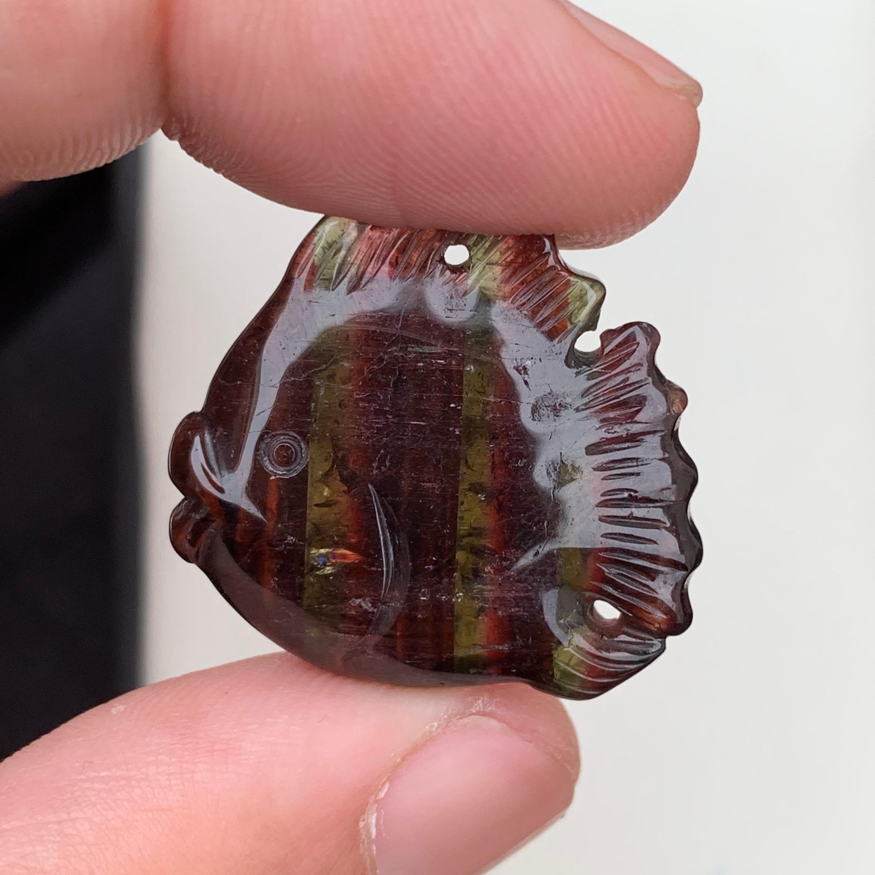 Women's or Men's 37.10 Carat Amazing Fish Shape Tri Colour Tourmaline Drilled Carving From Africa For Sale