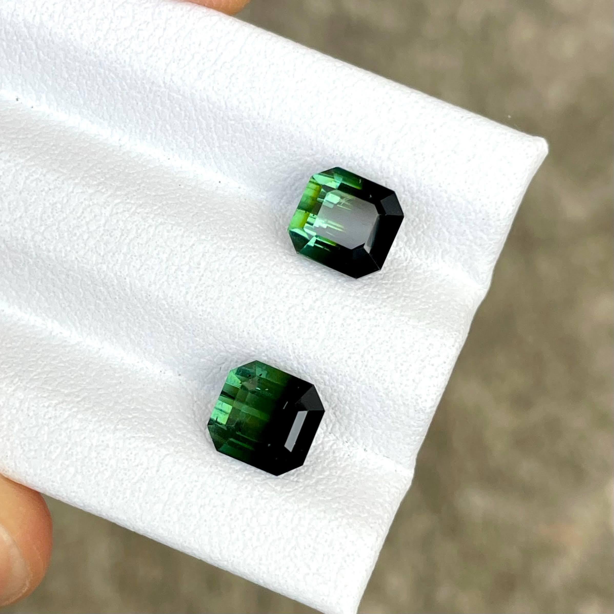 Poids 3,72 carats 
Dimensions 6,5x6,2x5,4 mm
Traitement aucun 
Origine Afghanistan 
Clarté VVS 
Forme octogonale 
Taille émeraude 


La paire de tourmalines bicolores est une pierre précieuse exquise, d'un poids remarquable de 3.72 carats. Extraite