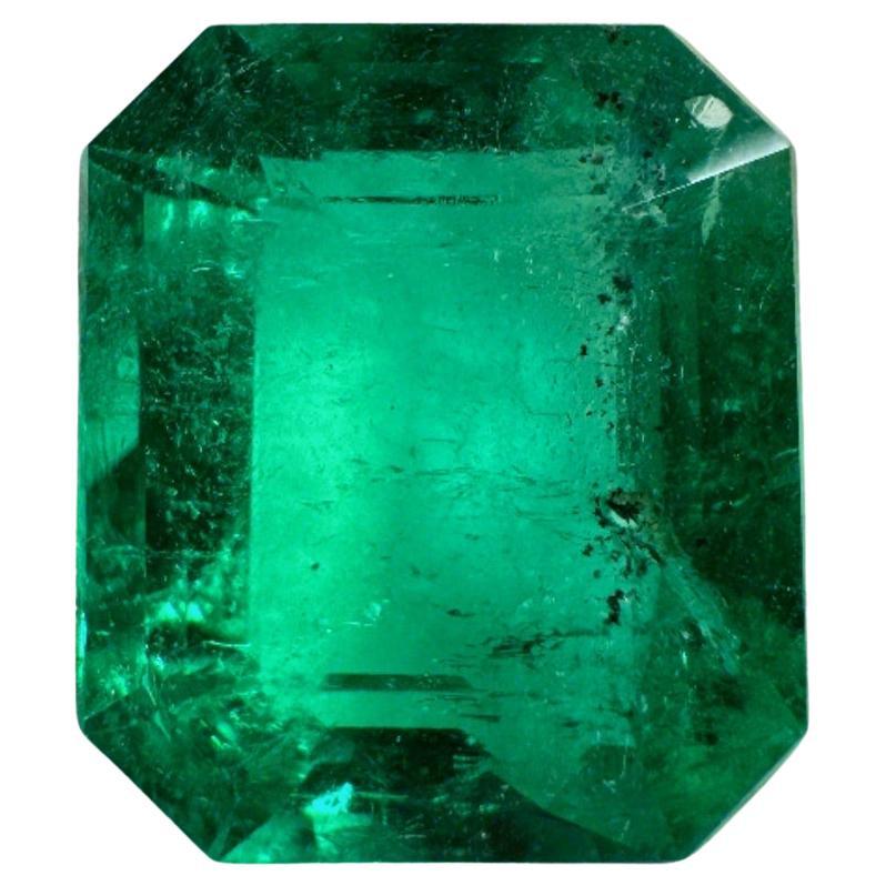 3.72ct AAA+ Perfect Green Freckled Colombian Emerald 11x9mm Emerald Cut May For Sale