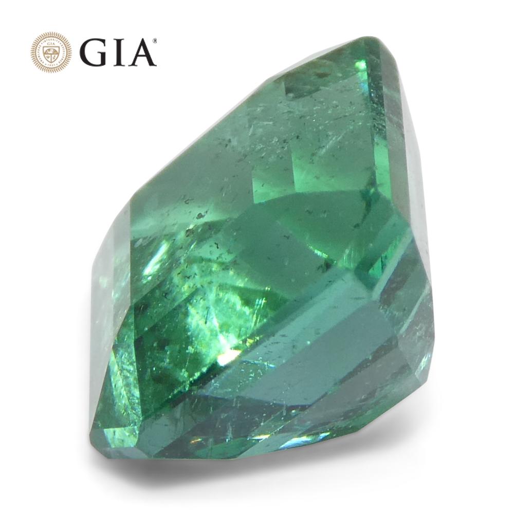 3.76ct Octagonal/Emerald Cut Green Emerald GIA Certified Zambia (F1) en vente 4