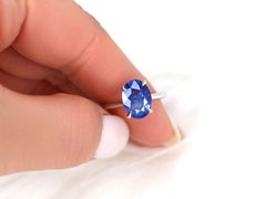 3.78ct Ready to Ship Hayden 14kt Ombre Blue Sapphire Hidden Halo Oval Ring