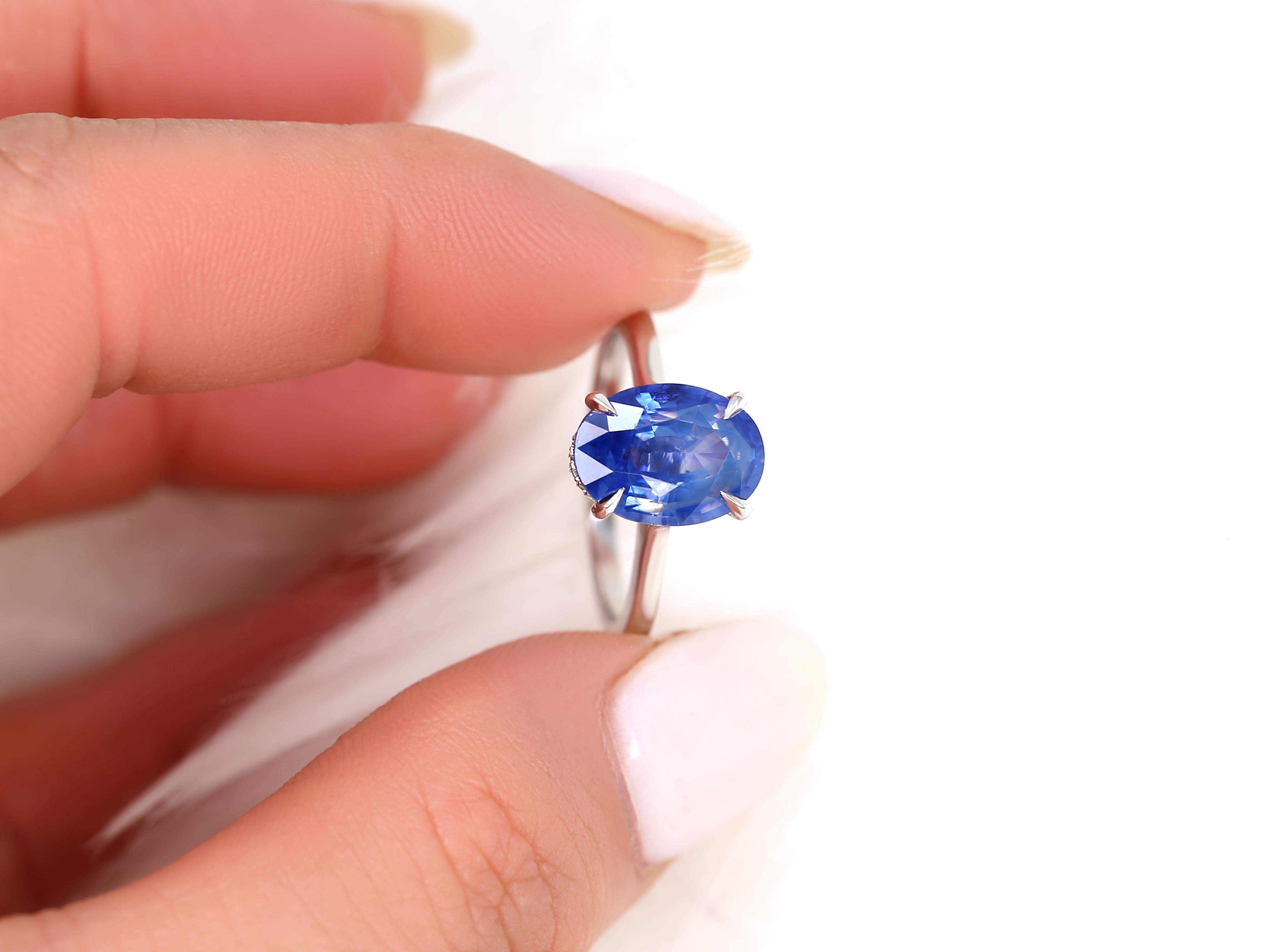 Women's or Men's 3.78ct Ready to Ship Hayden 14kt Ombre Blue Sapphire Hidden Halo Oval Ring For Sale