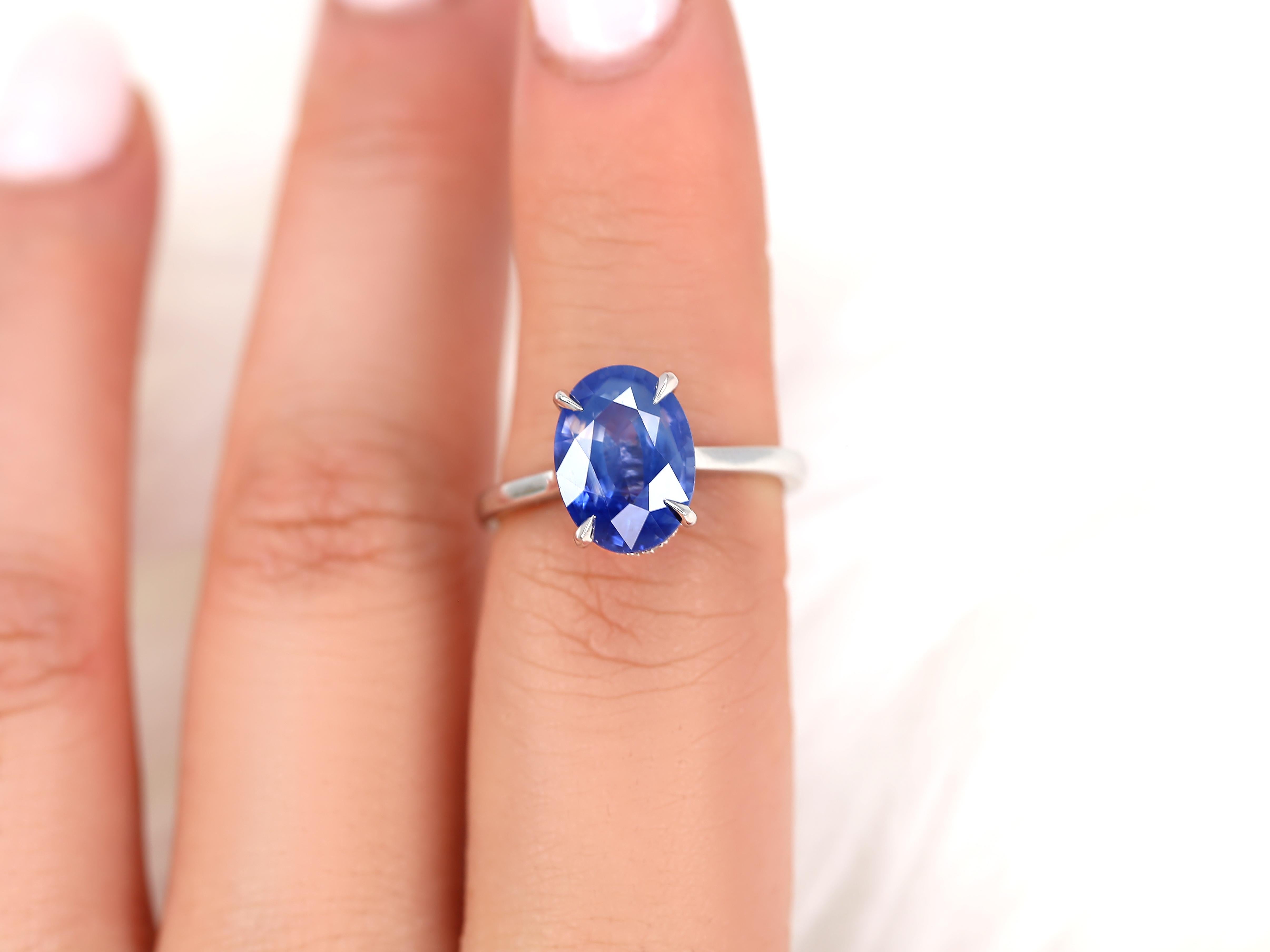 3.78ct Ready to Ship Hayden 14kt Ombre Blue Sapphire Hidden Halo Oval Ring For Sale 1