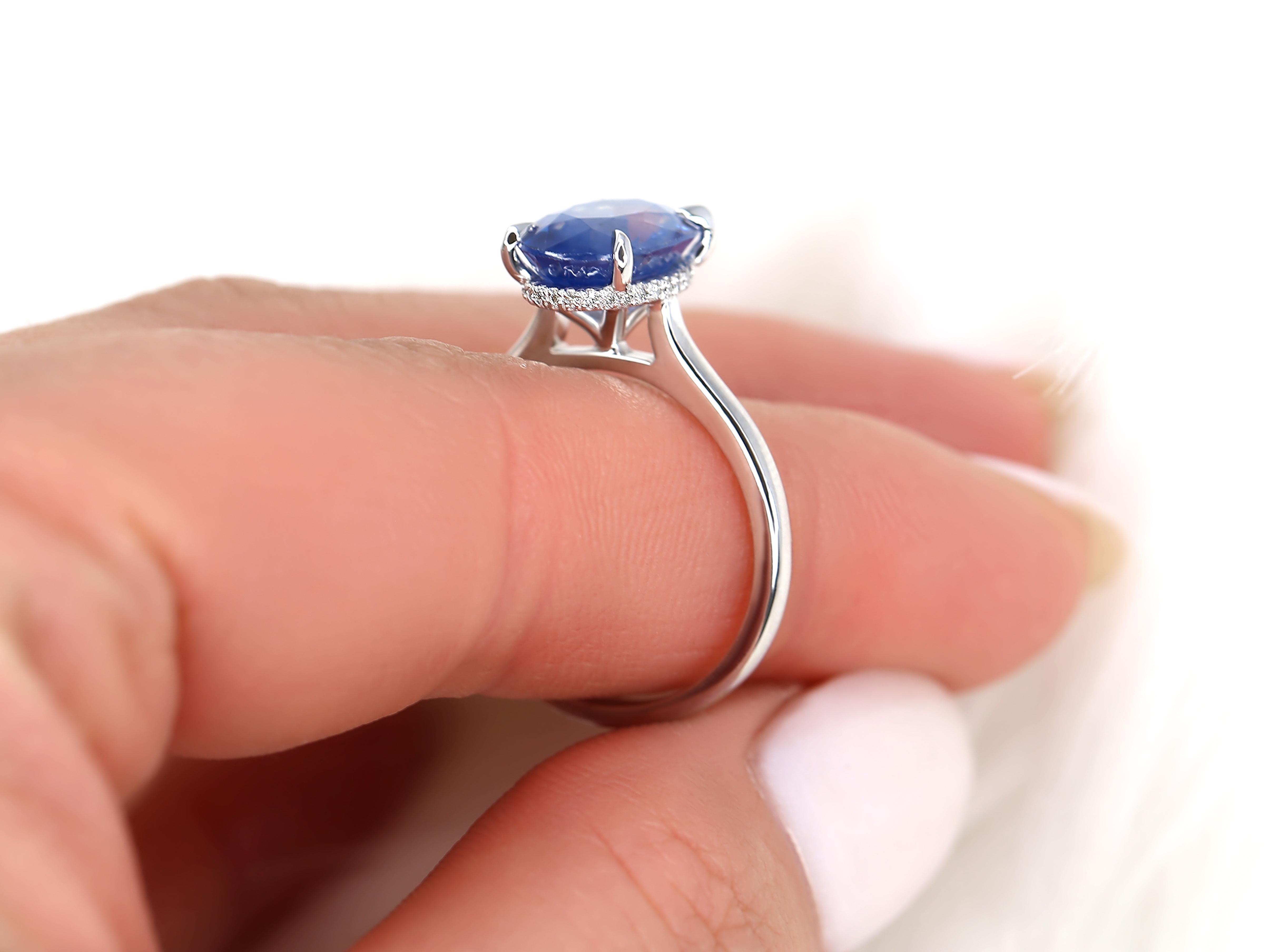 3.78ct Ready to Ship Hayden 14kt Ombre Blue Sapphire Hidden Halo Oval Ring For Sale 2