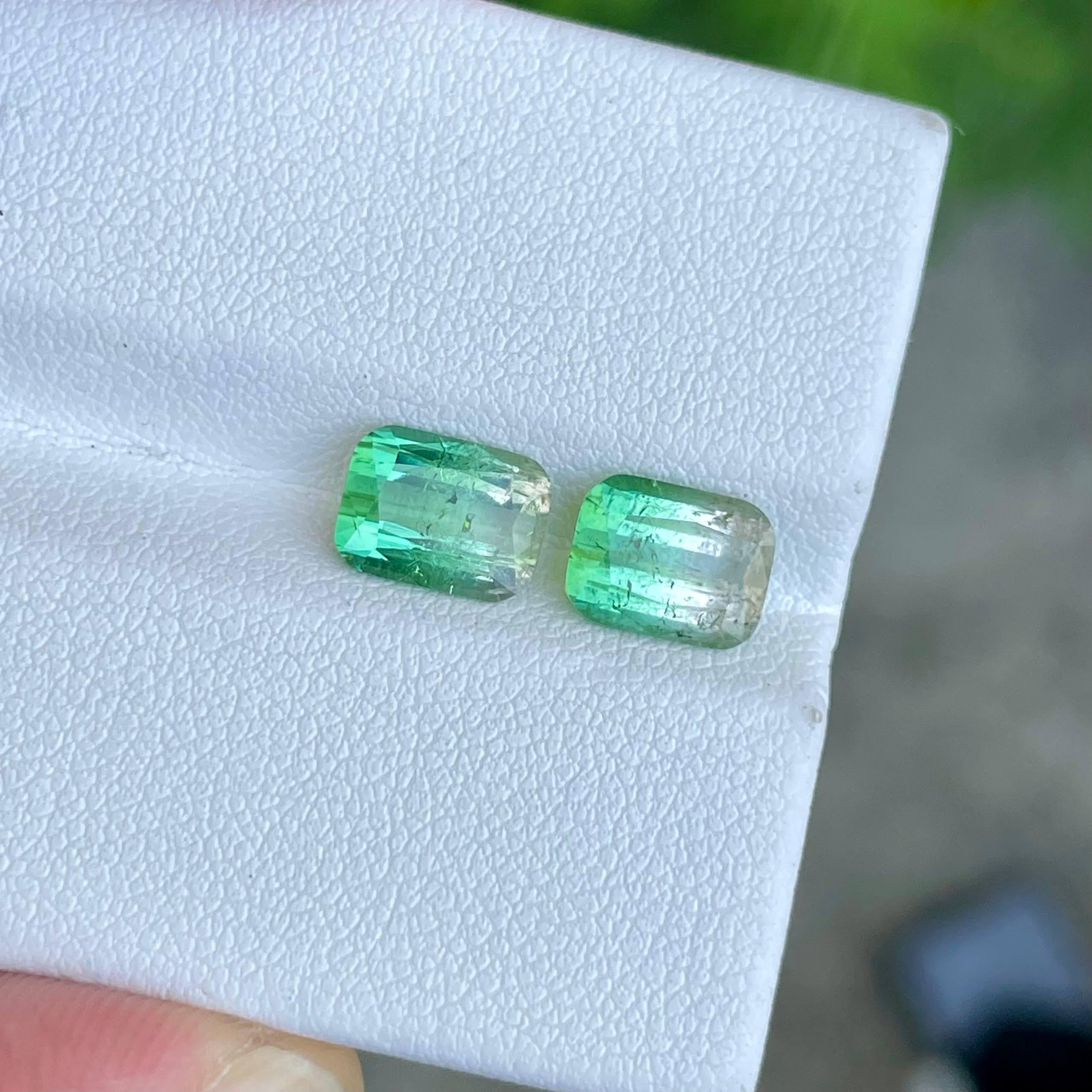 Weight: 3.79 carats
Dimensions: 8.2x6.1x4.2 mm and 8.1x6.1x4.5 mm
Treatment none 
Origin Afghanistan 
Clarity SI
Shape cushion
Cut fancy cushion 




These exquisite Bi-color tourmaline gemstones, totaling 3.79 carats, captivate with their natural