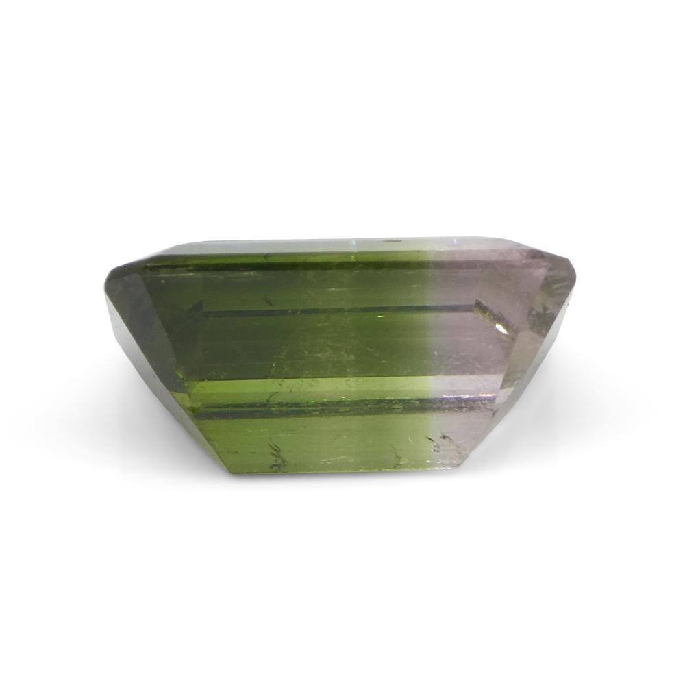 Tourmaline bicolore rose et verte taille émeraude de 3.7 carats du Brésil en vente 3