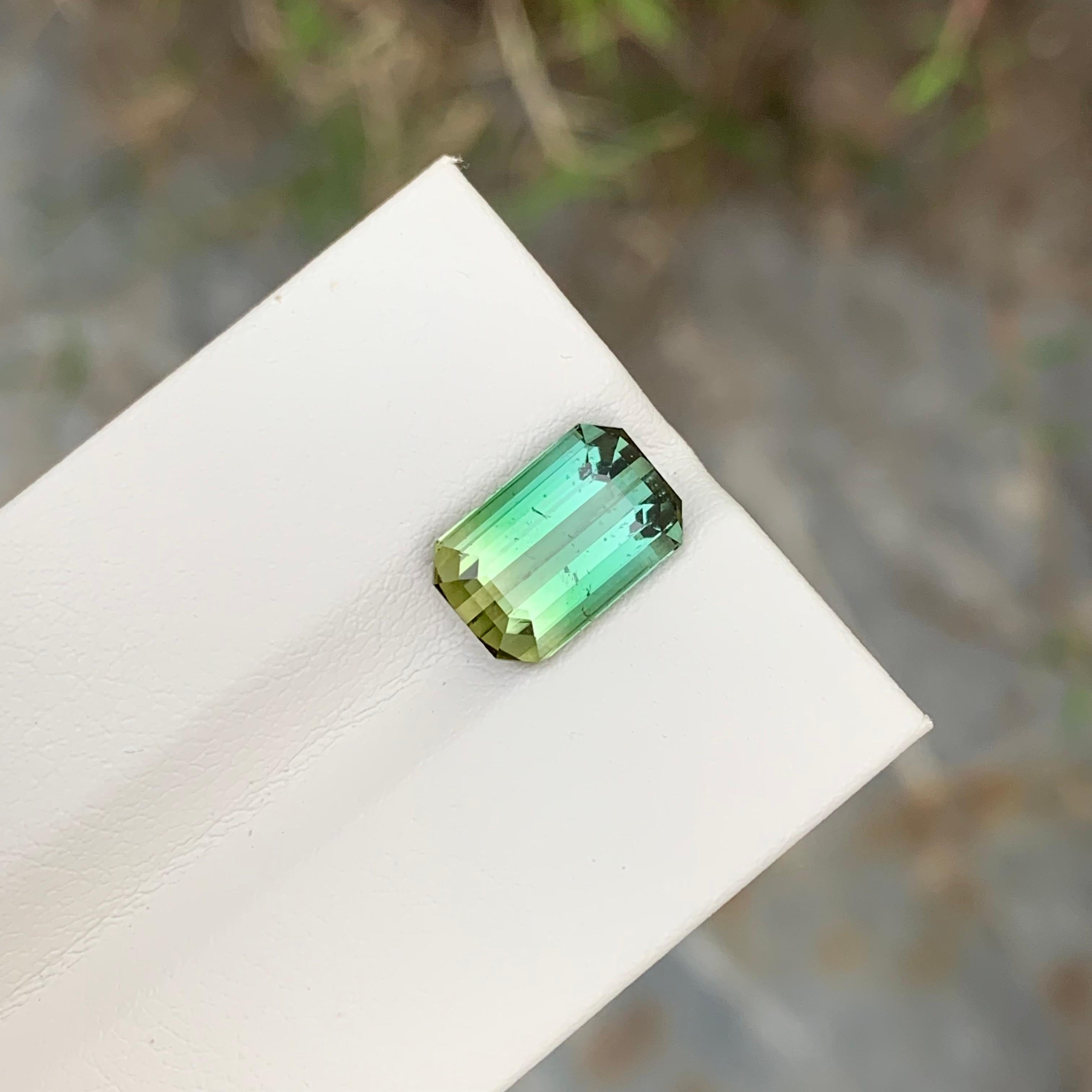 3.80 Carat Natural Loose Bi Colour Tourmaline Emerald Shape Gem  For Sale 2