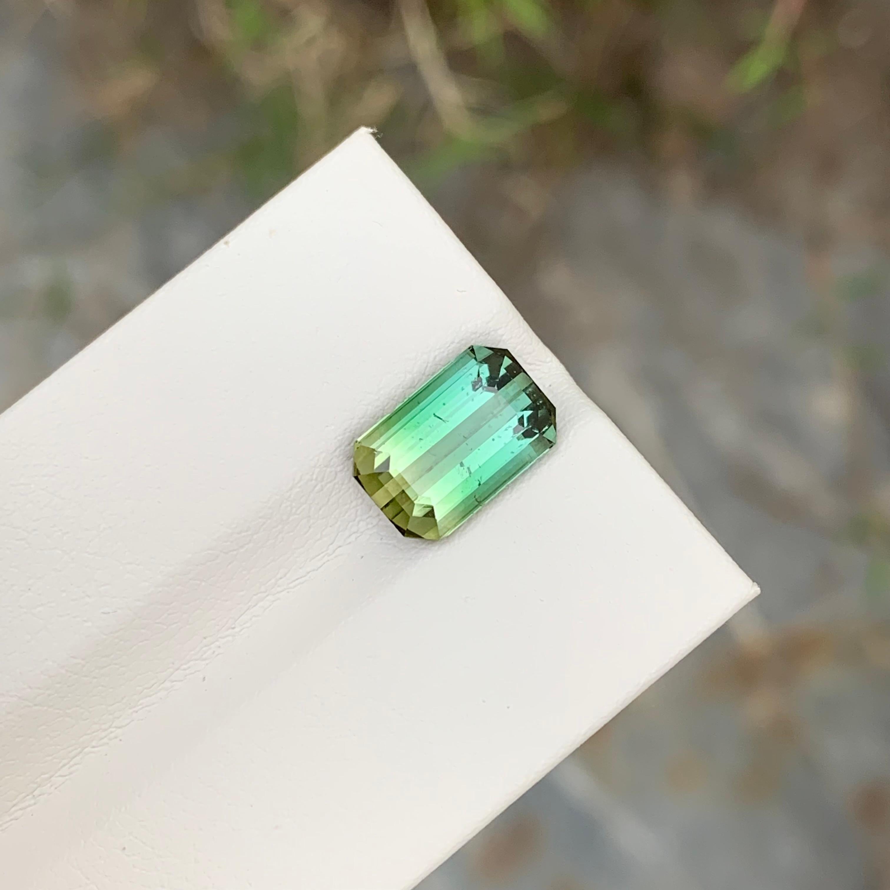 3.80 Carat Natural Loose Bi Colour Tourmaline Emerald Shape Gem en vente 2