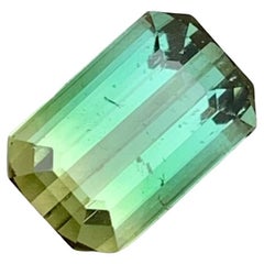 3.80 Carat Natural Loose Bi Colour Tourmaline Emerald Shape Gem 