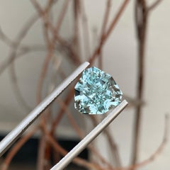 3.80 Carat Natural Loose Untreated Aquamarine Fancy Cut Shield Shape Ring Gem
