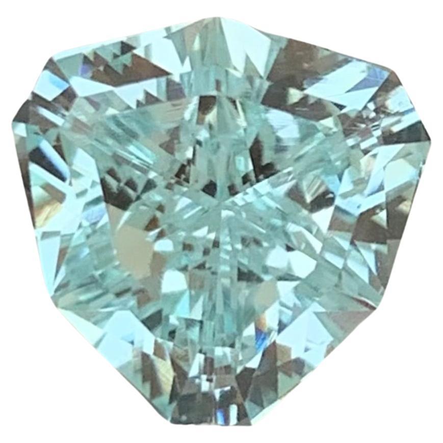 3.80 Carat Natural Loose Untreated Aquamarine Fancy Cut Shield Shape Ring Gem