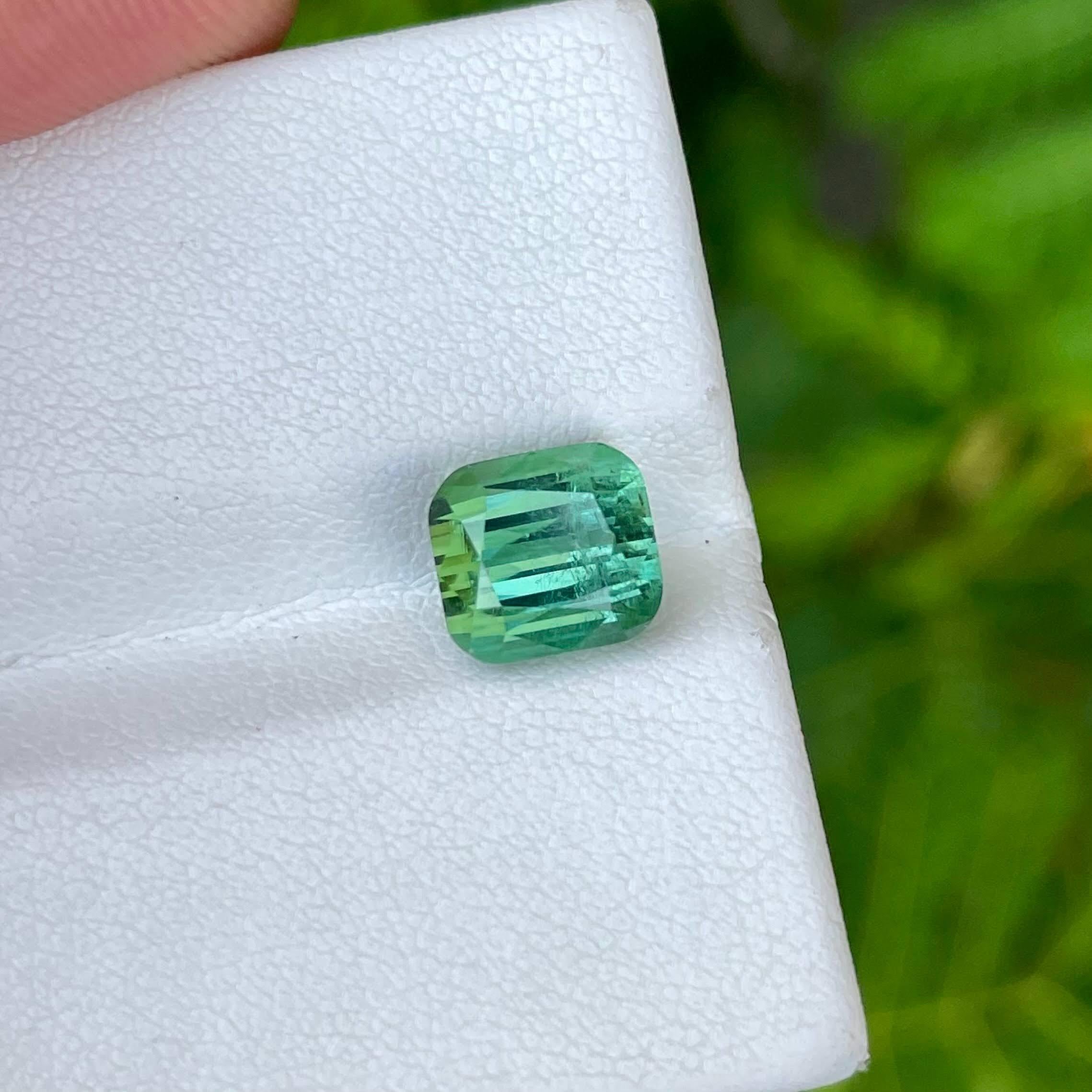 Weight 3.80 carats 
Dimensions 8.1x7.5x7.1 mm 
Treatment none 
Origin Afghanistan 
Clarity SI
Shape cushion 
Cut fancy cushion 



The 3.80 carat Greenish Blue Tourmaline stone, meticulously cut into a cushion shape, is a striking example of Afghan