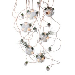 38.16 Pendant by Bocci