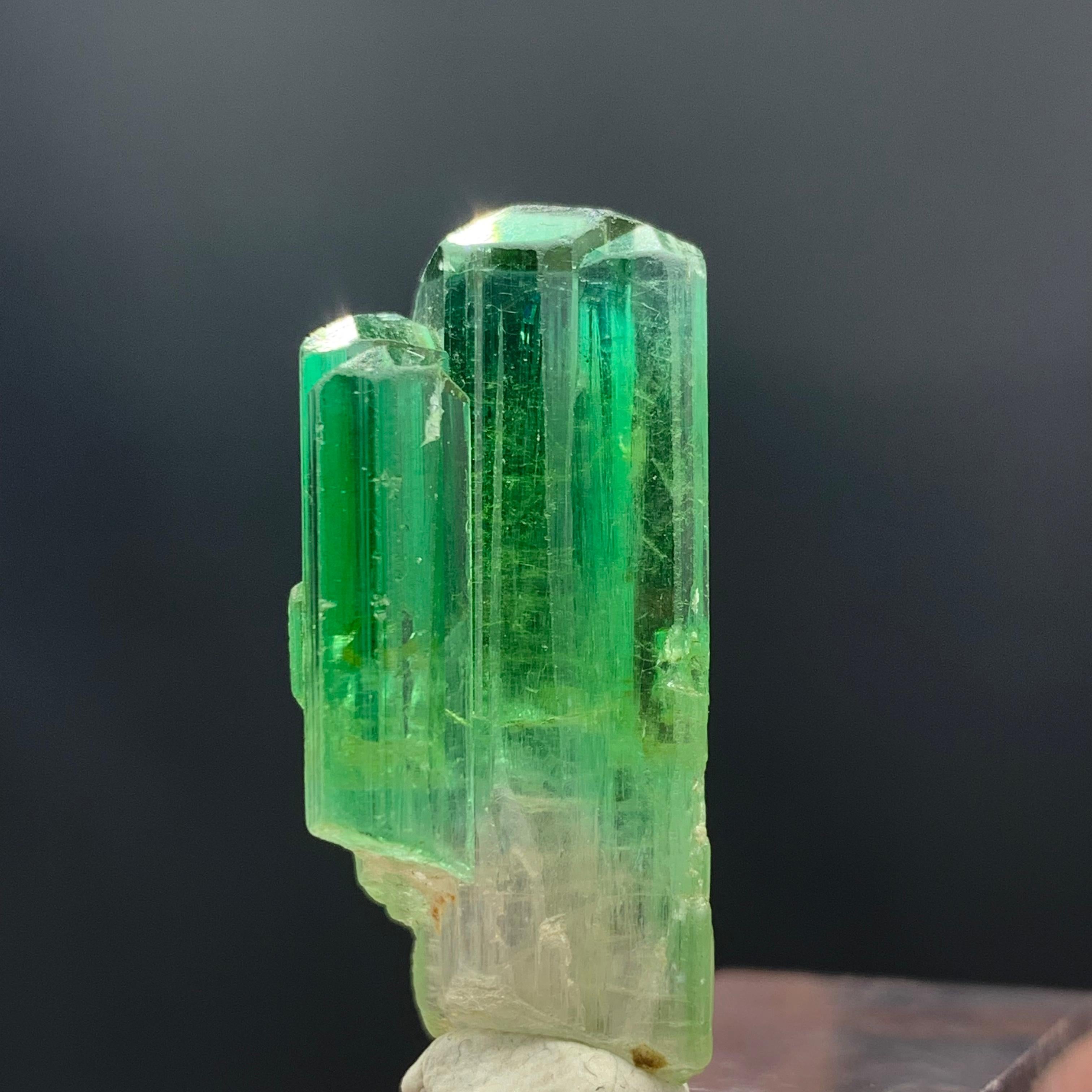 38.30 Carats Gorgeous Bi Color Tourmaline Crystal From Afghanistan  For Sale 3